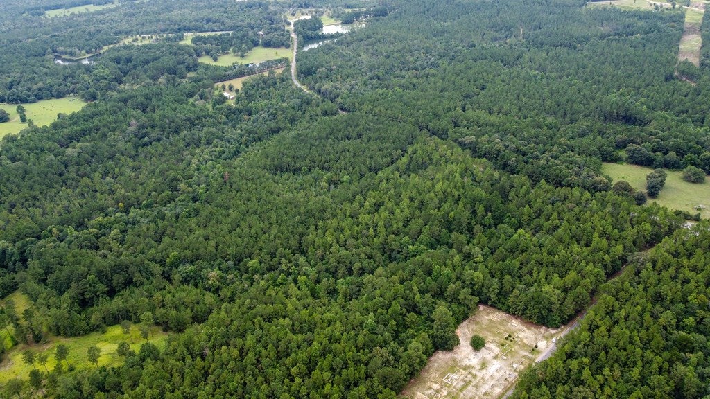 Run-progress Silver Run-Progress Road Perkinston, MS 39573 - Photo 2 of 4 Gallery Image 2