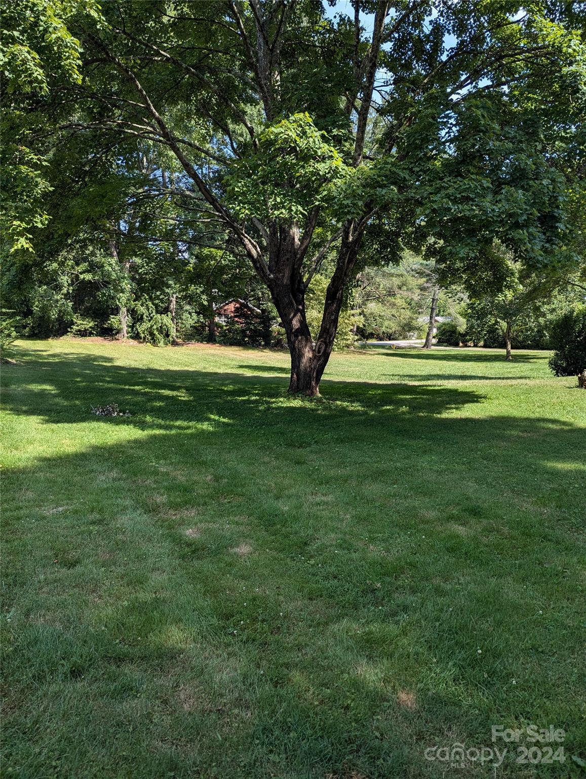 3106 Brevard Road Hendersonville, NC 28739 - Photo 19 of 28