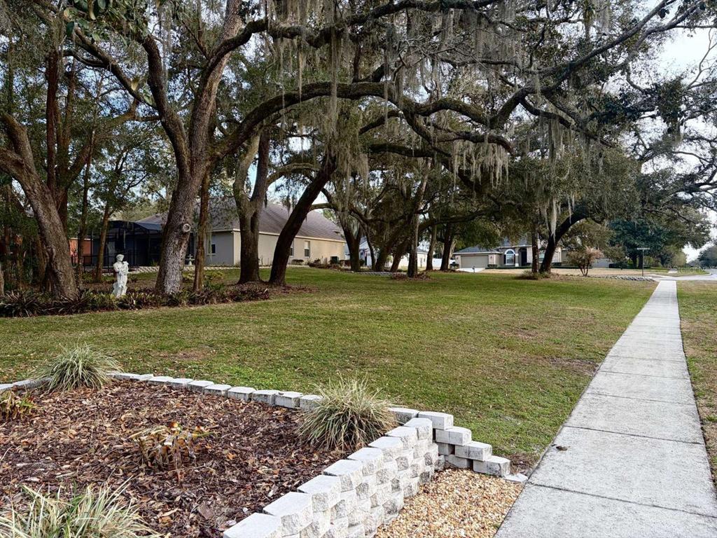 597 Sand Wedge Loop Apopka, FL 32712 - Photo 68 of 71