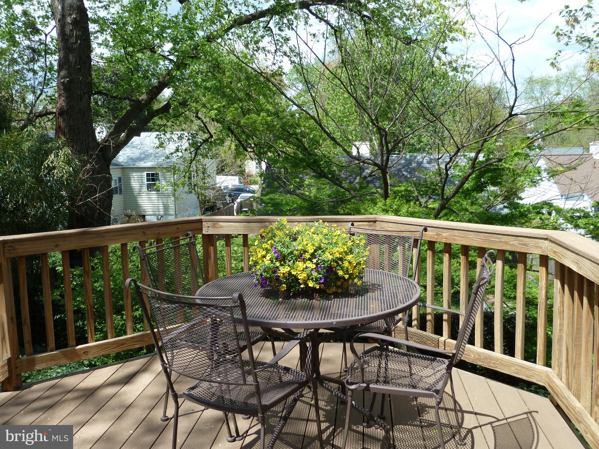 1503 Crest Road Silver Spring, MD 20902 - Photo 37 of 64 Sunny & Private Deck with Amazing Views