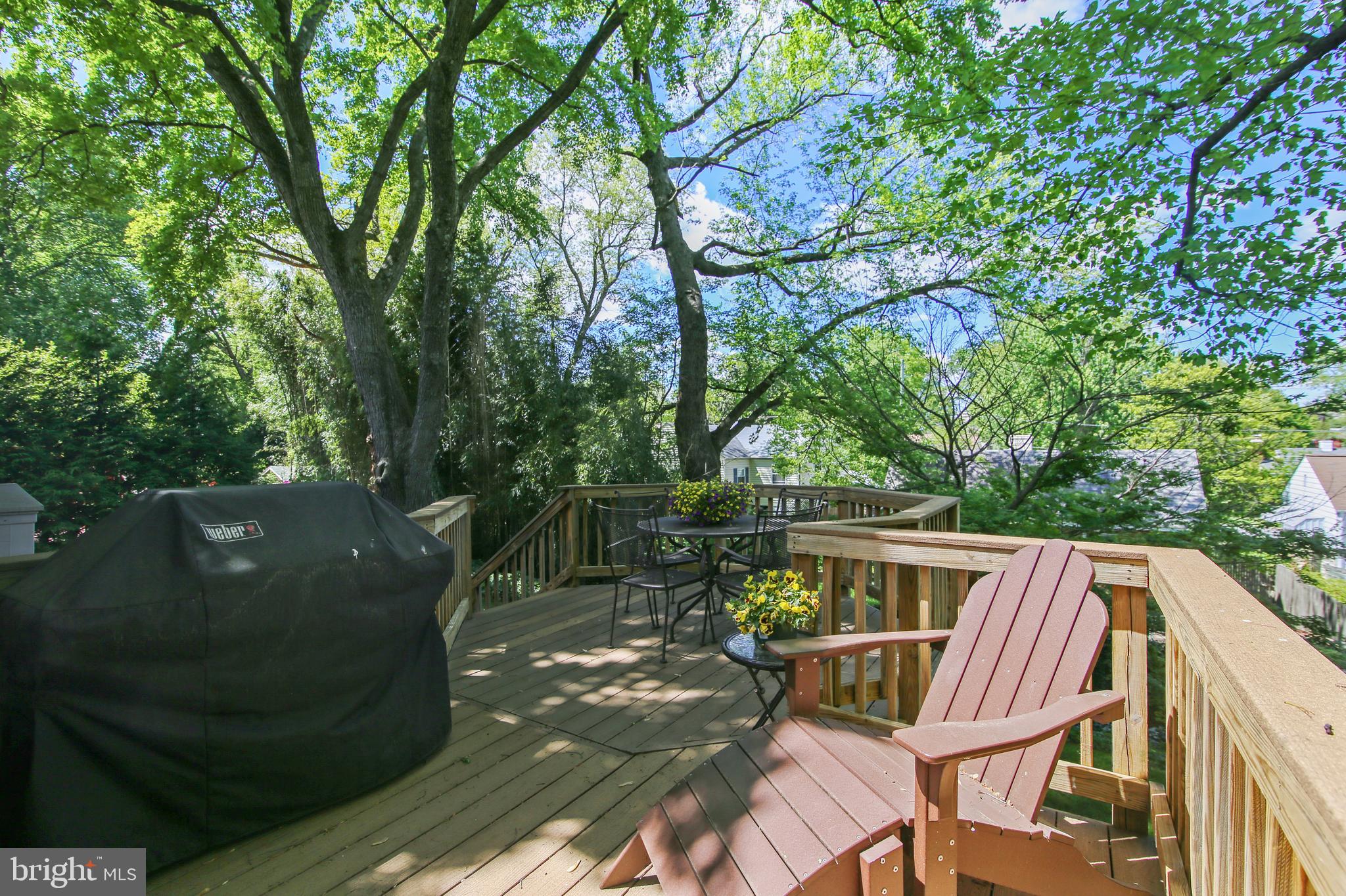 1503 Crest Road Silver Spring, MD 20902 - Photo 41 of 64 Convenient Location for Grill by Kitchen Door