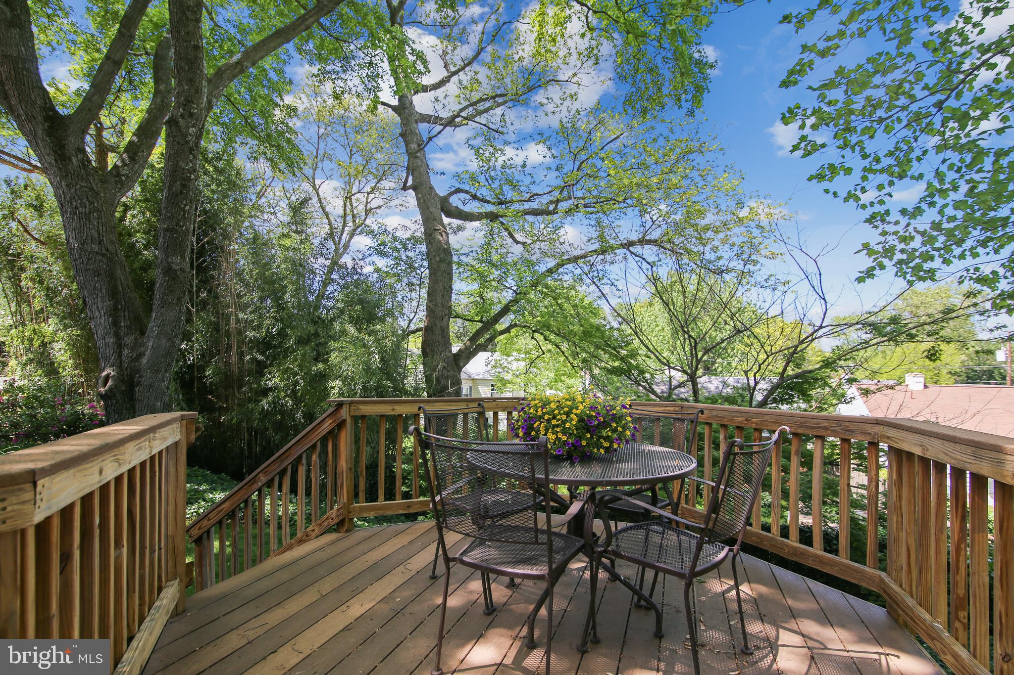 1503 Crest Road Silver Spring, MD 20902 - Photo 42 of 64 Such a Peaceful, Serene setting