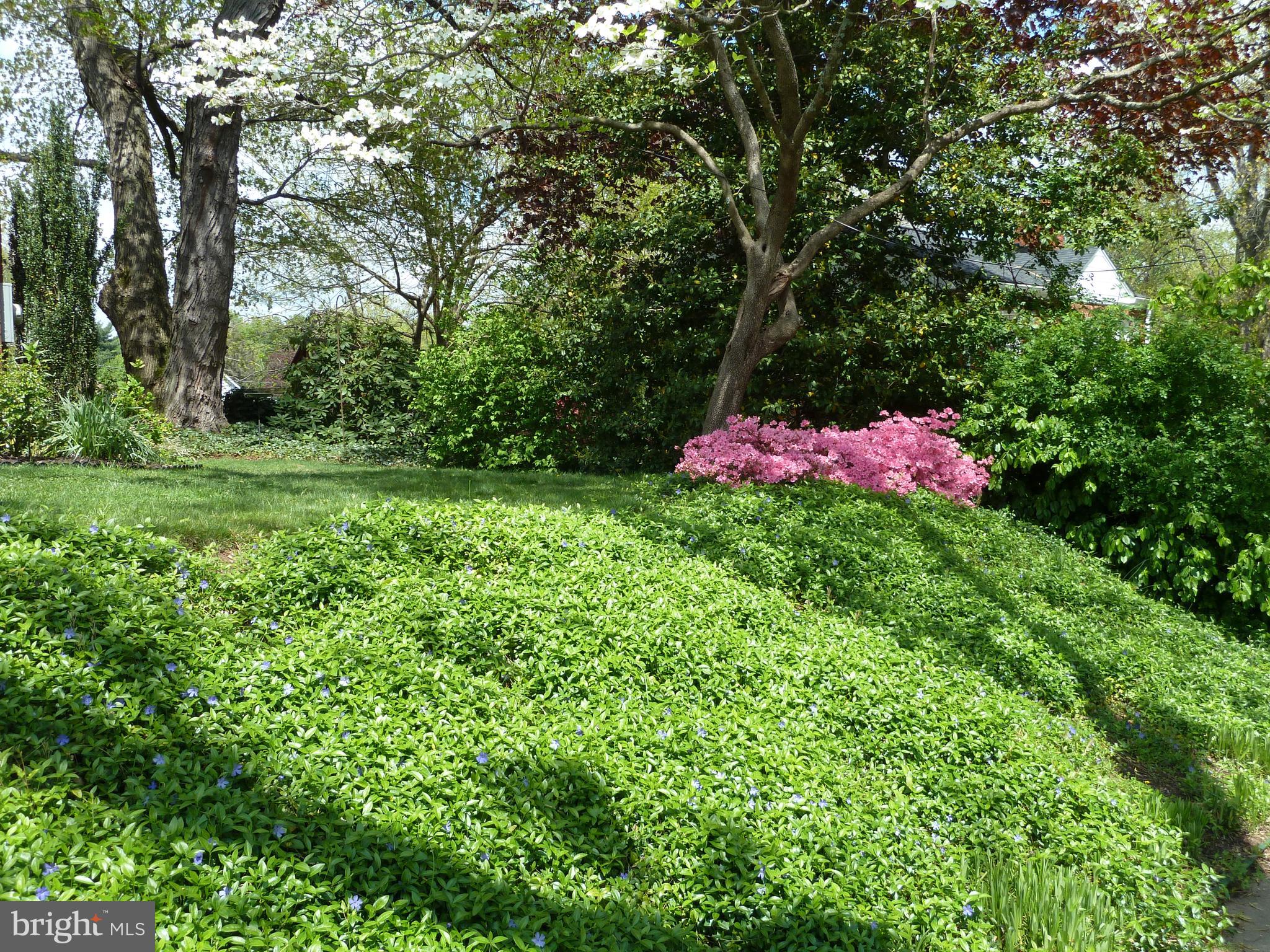 1503 Crest Road Silver Spring, MD 20902 - Photo 44 of 64 Front Gardens are Stunning!