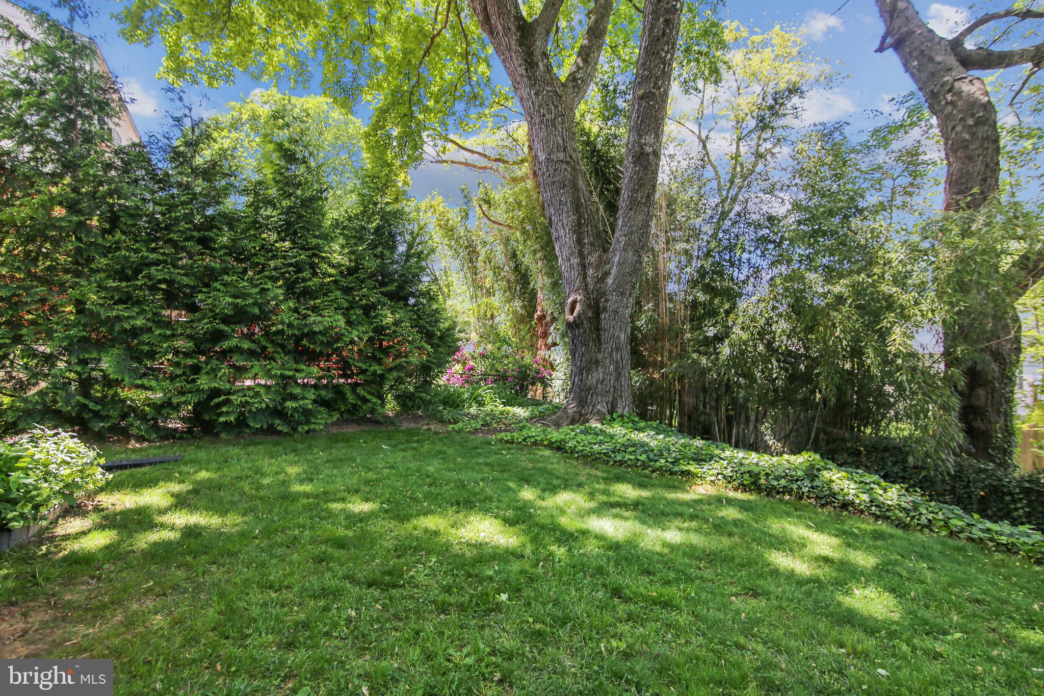 1503 Crest Road Silver Spring, MD 20902 - Photo 47 of 64 View of the Backyard