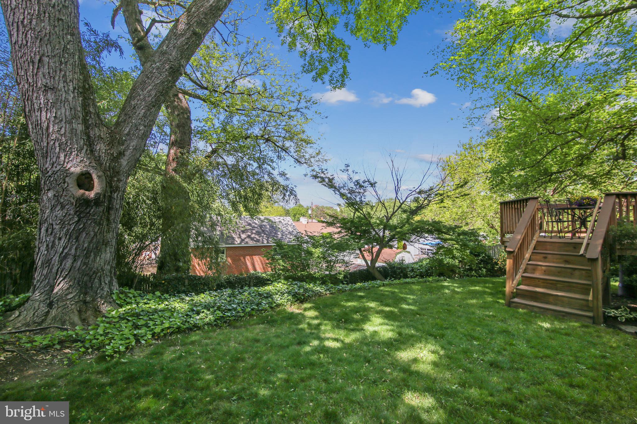 1503 Crest Road Silver Spring, MD 20902 - Photo 49 of 64 Stunning Backyard