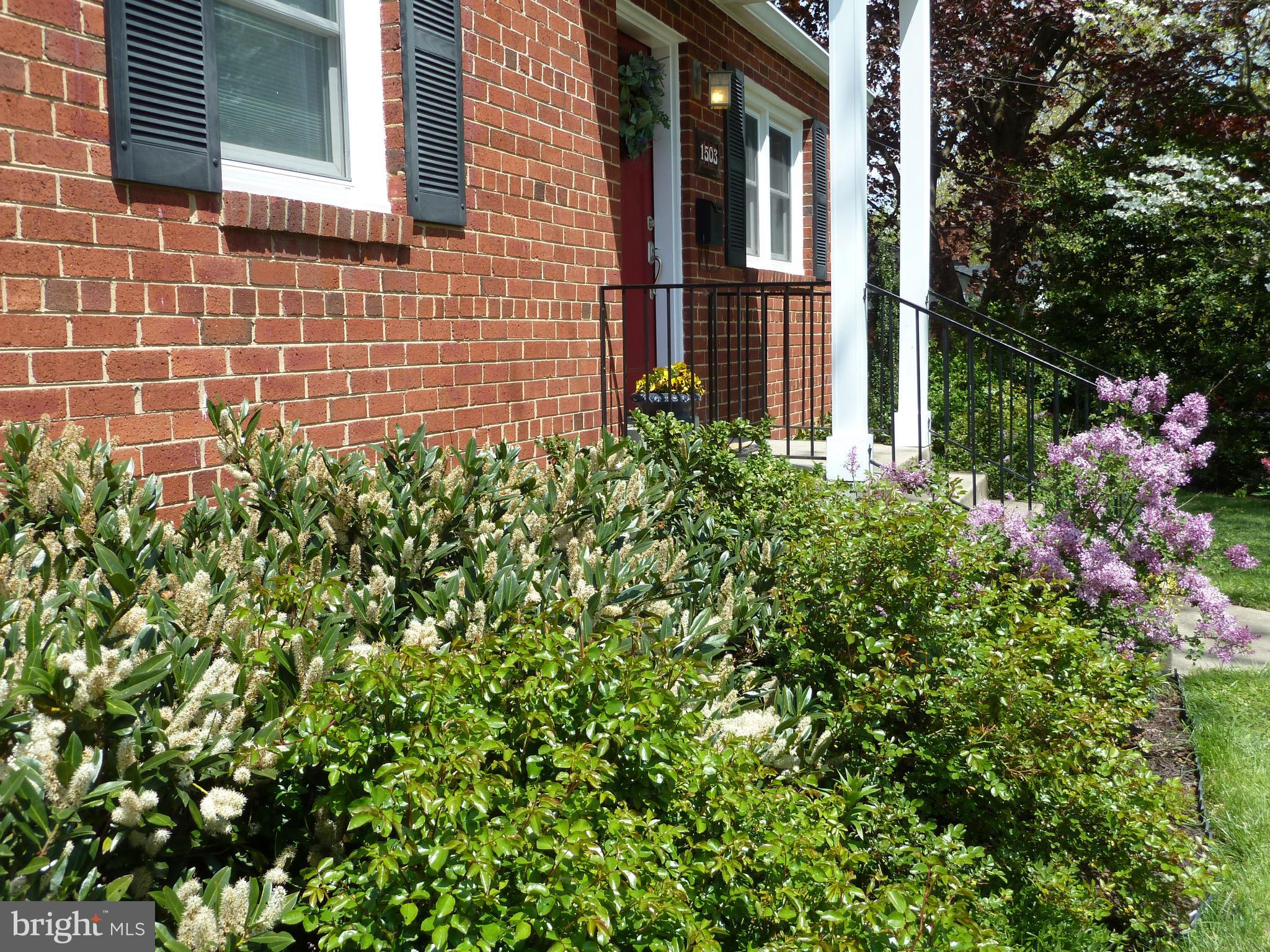 1503 Crest Road Silver Spring, MD 20902 - Photo 51 of 64 Front Garden