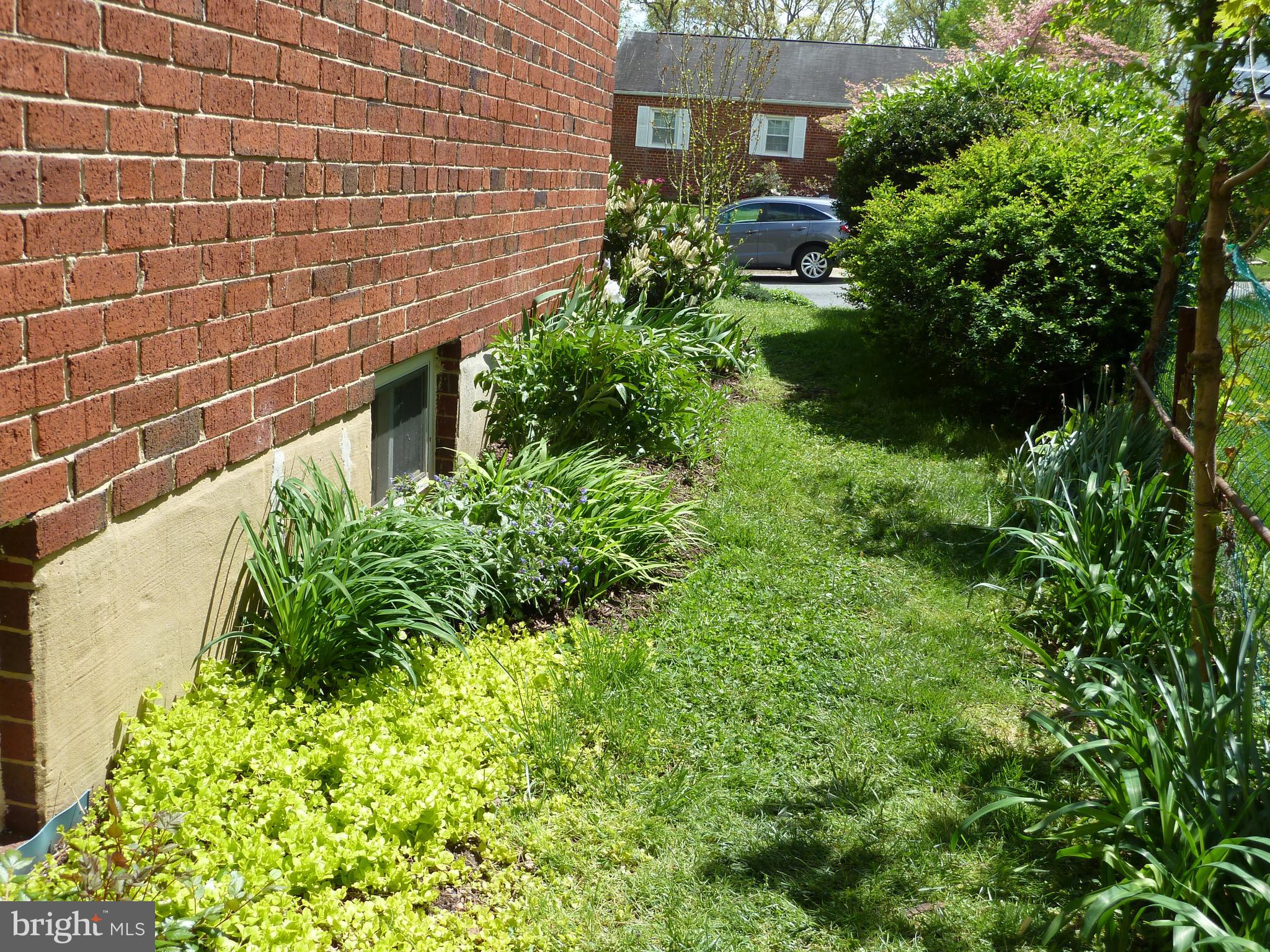 1503 Crest Road Silver Spring, MD 20902 - Photo 52 of 64 Side Yard is Beautiful