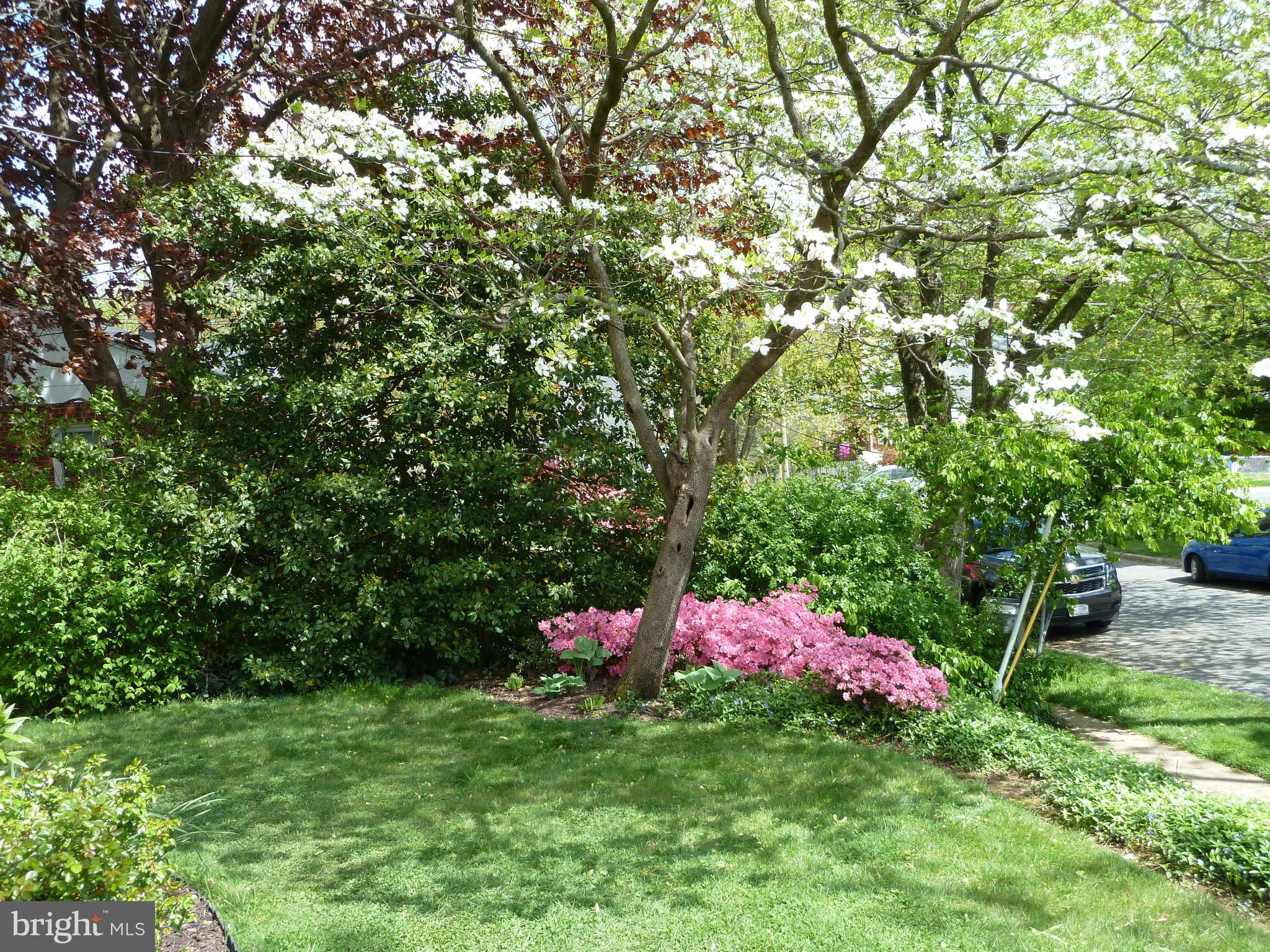 1503 Crest Road Silver Spring, MD 20902 - Photo 53 of 64 View from Front Door