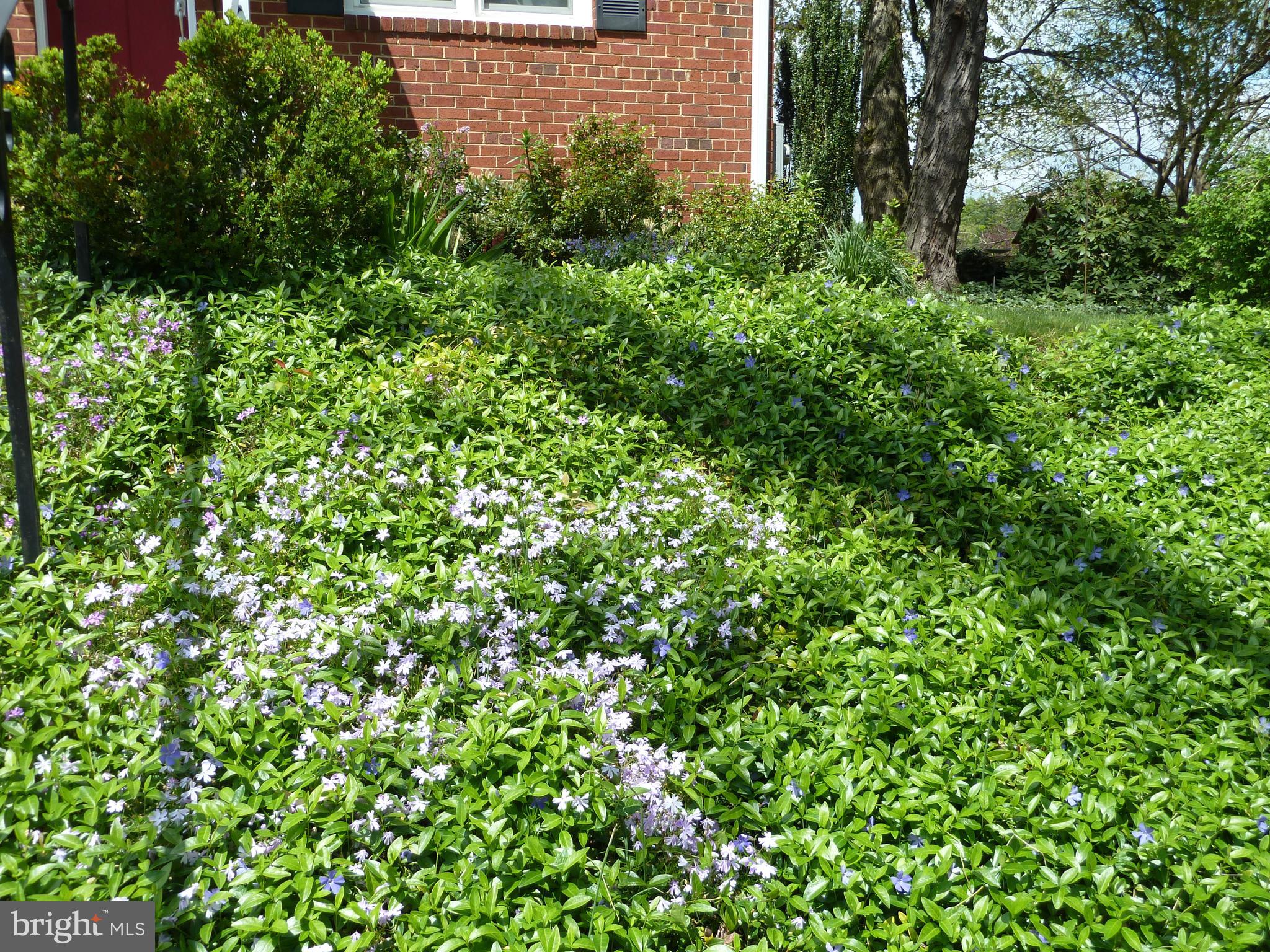 1503 Crest Road Silver Spring, MD 20902 - Photo 55 of 64 Front Gardens