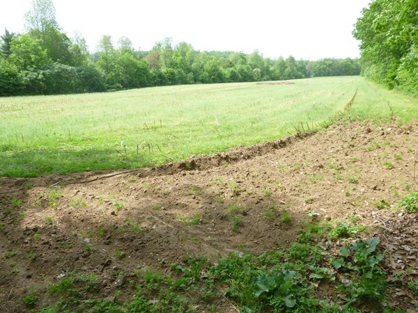 Lot 1 Walnut Street Rutland, MA 01543 - Photo 1 of 2 Gallery Image 1