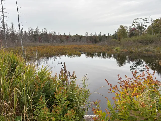 $100,500 | M17-l21 Basin Road, Addison, ME 04606