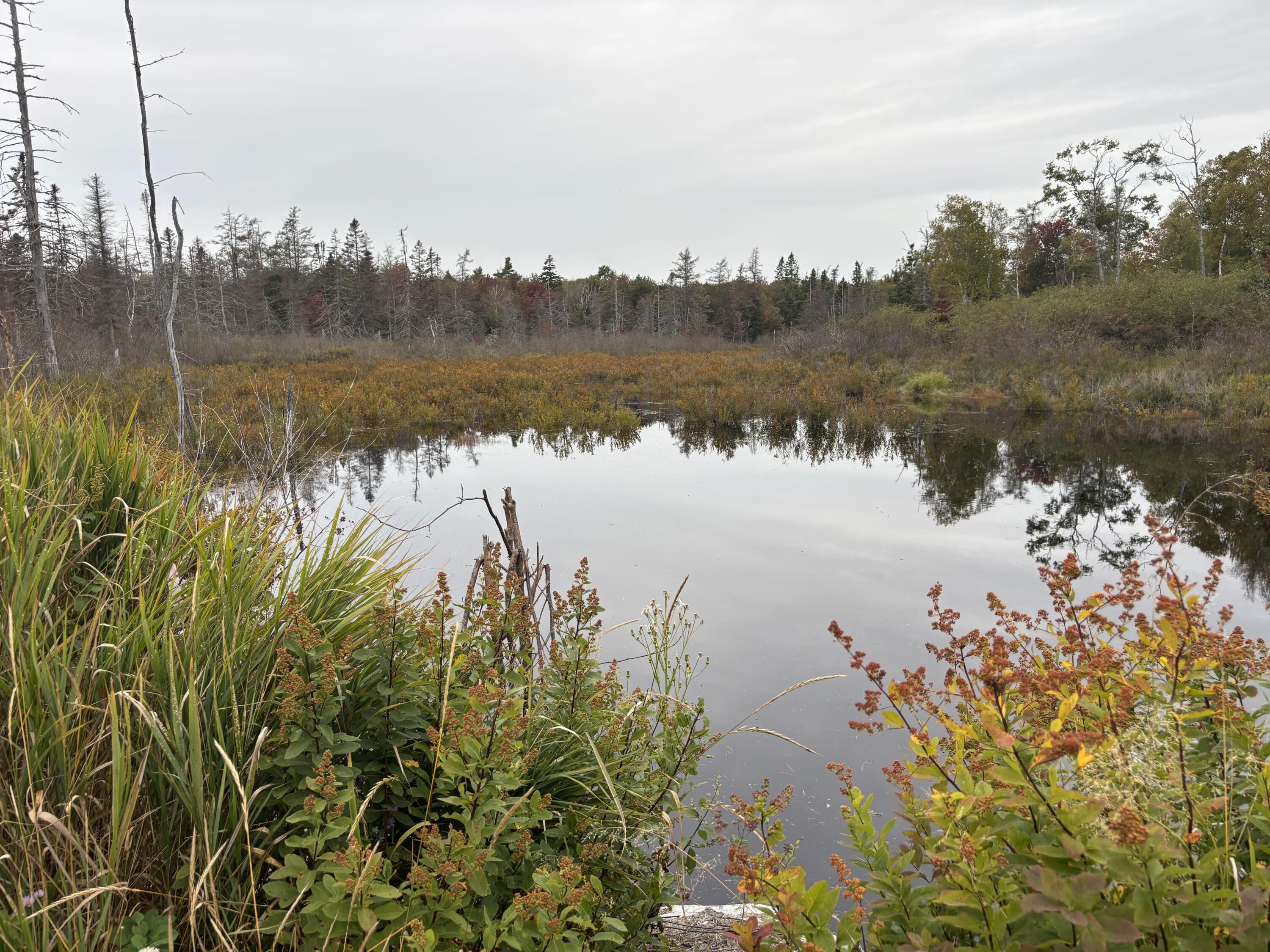 M17-l21 Basin Road Addison, ME 04606 - Photo 15 of 16 Water View from main road