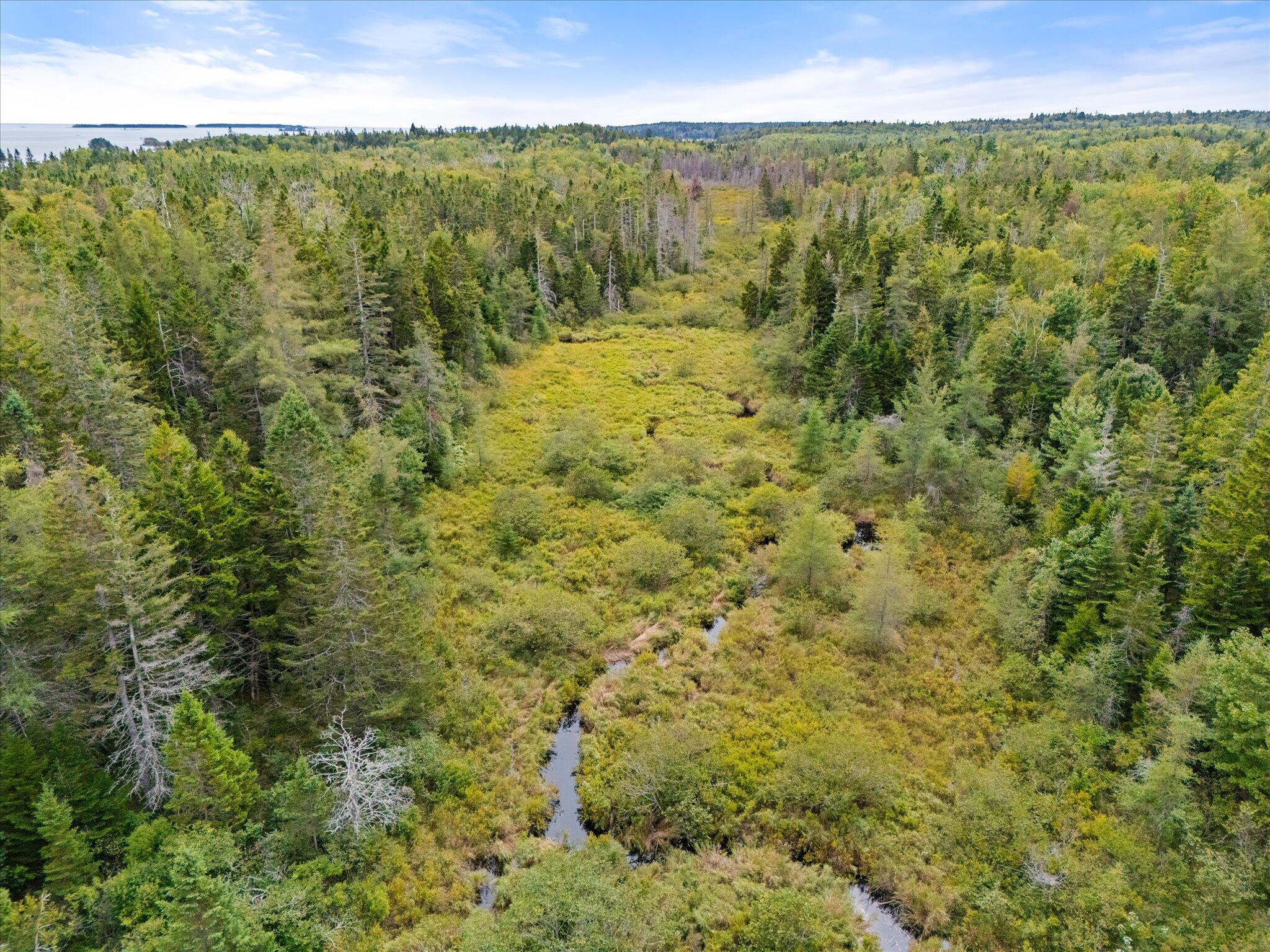 M17-l21 Basin Road Addison, ME 04606 - Photo 6 of 16 06-Basin Road, Addison