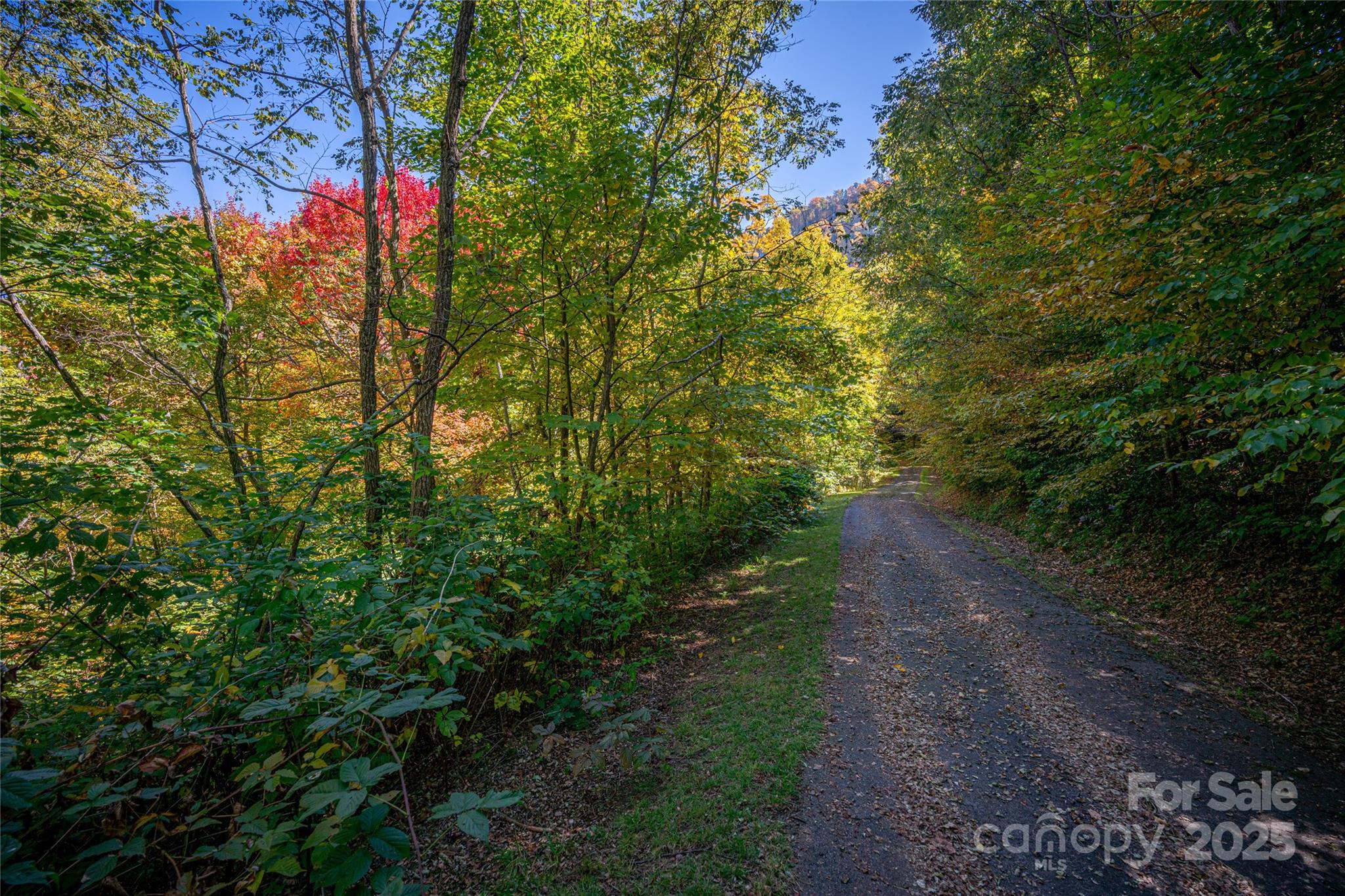 40-41 Falcon Crest Loop Maggie Valley, NC 28751 - Photo 3 of 7