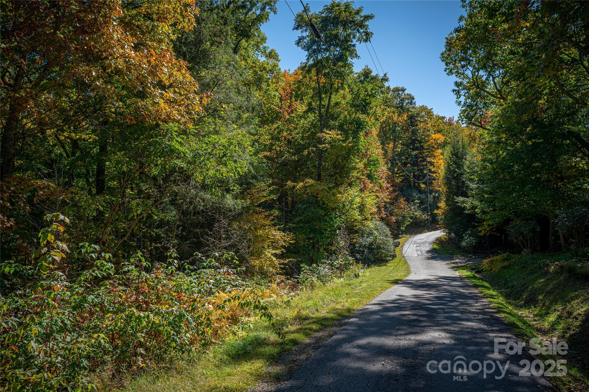 40-41 Falcon Crest Loop Maggie Valley, NC 28751 - Photo 4 of 7