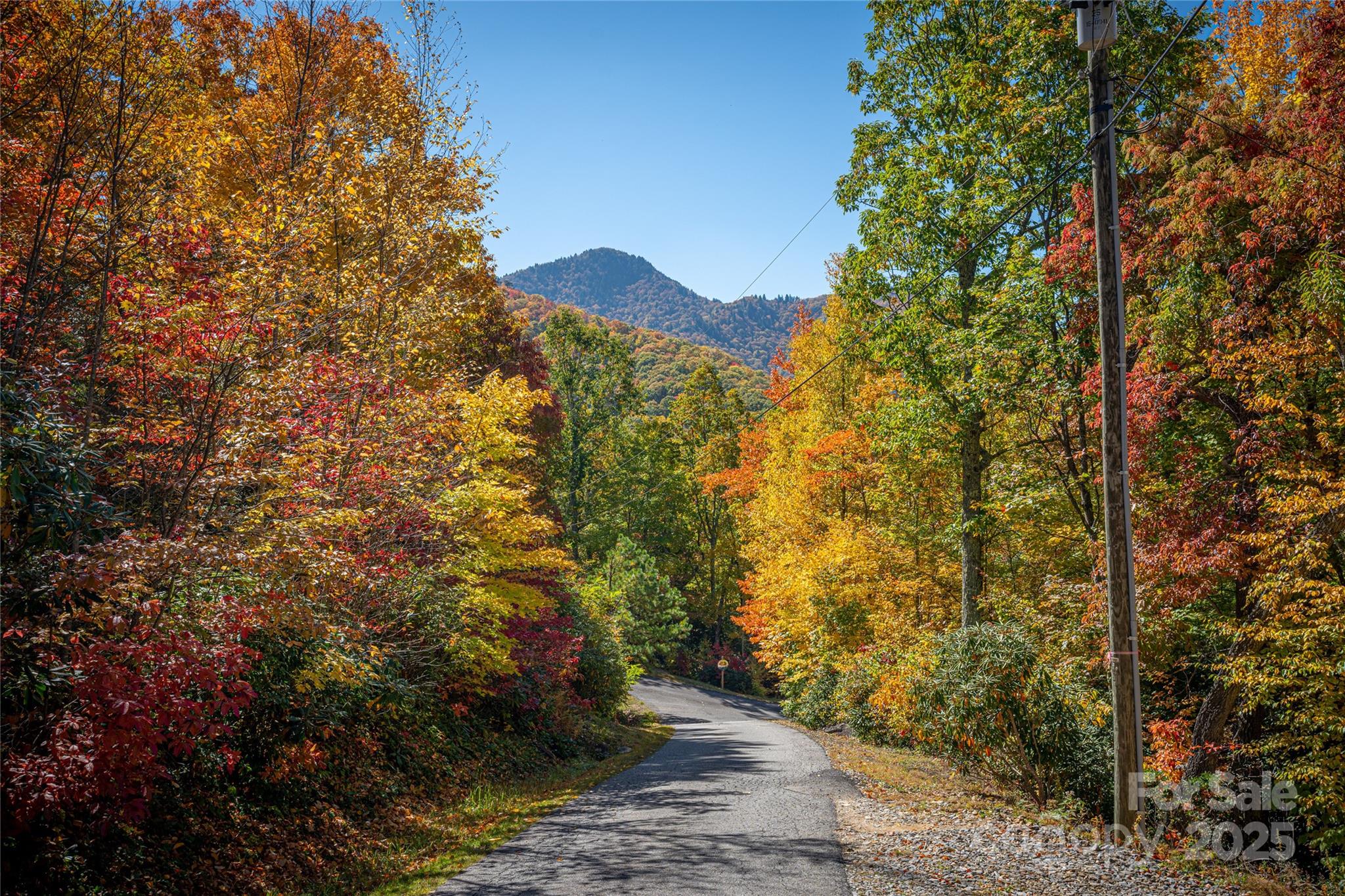 40-41 Falcon Crest Loop Maggie Valley, NC 28751 - Photo 5 of 7