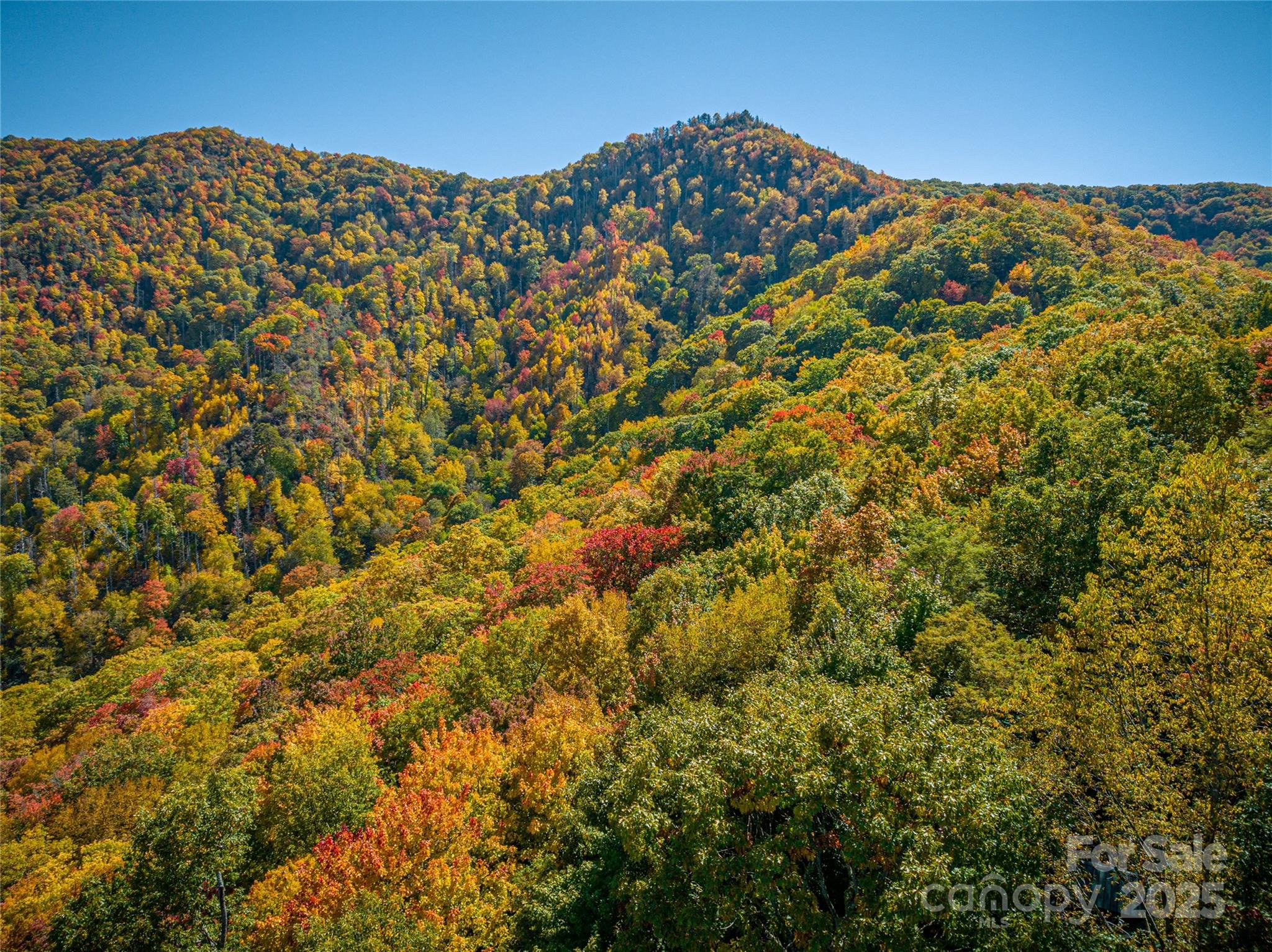 40-41 Falcon Crest Loop Maggie Valley, NC 28751 - Photo 6 of 7