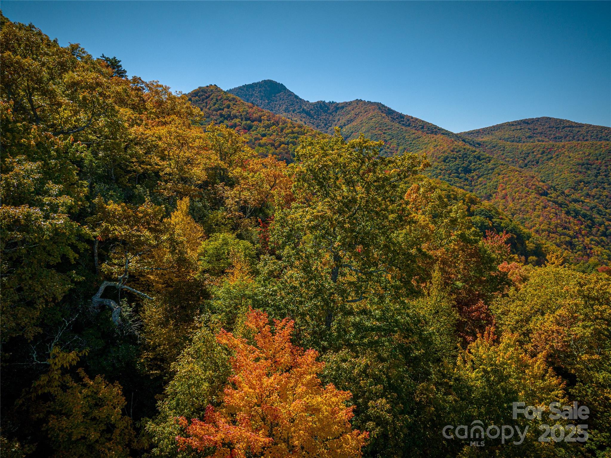 40-41 Falcon Crest Loop Maggie Valley, NC 28751 - Photo 7 of 7