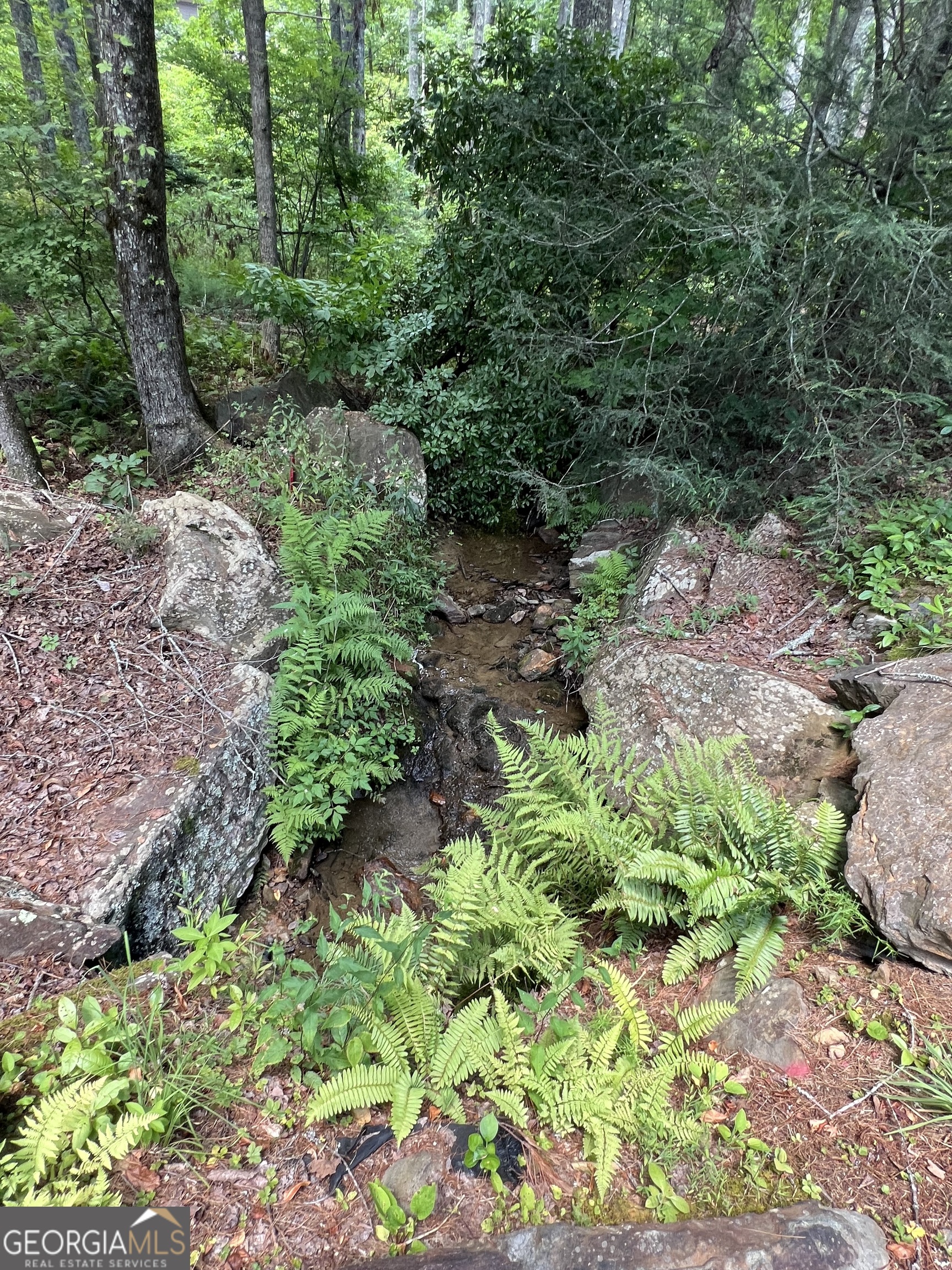 Lot 32 Mission Ridge Drive Hayesville, NC 28904 - Photo 3 of 11 a view of a garden with plants