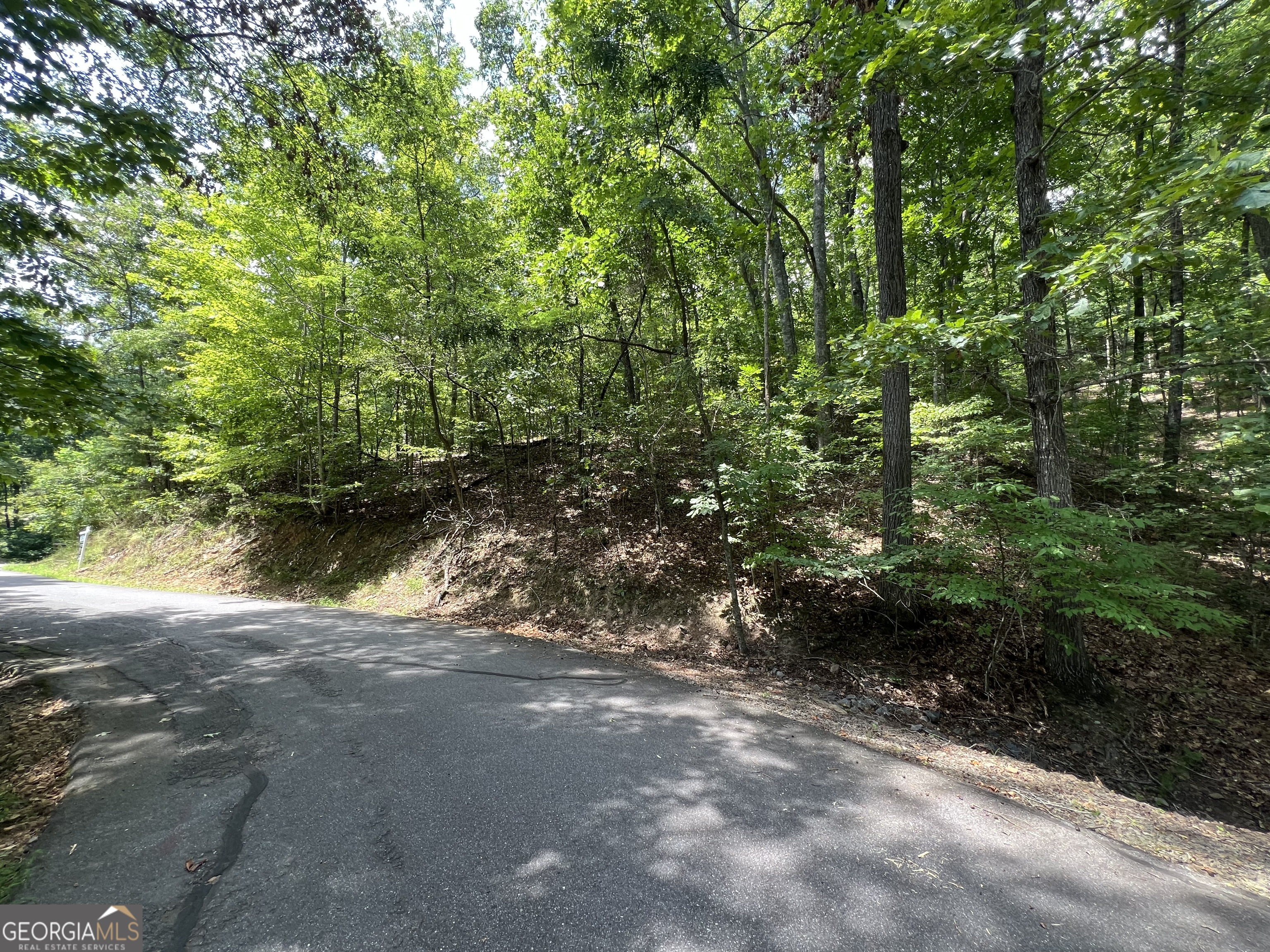 Lot 32 Mission Ridge Drive Hayesville, NC 28904 - Photo 4 of 11 a view of a yard with plants and a bench under large trees