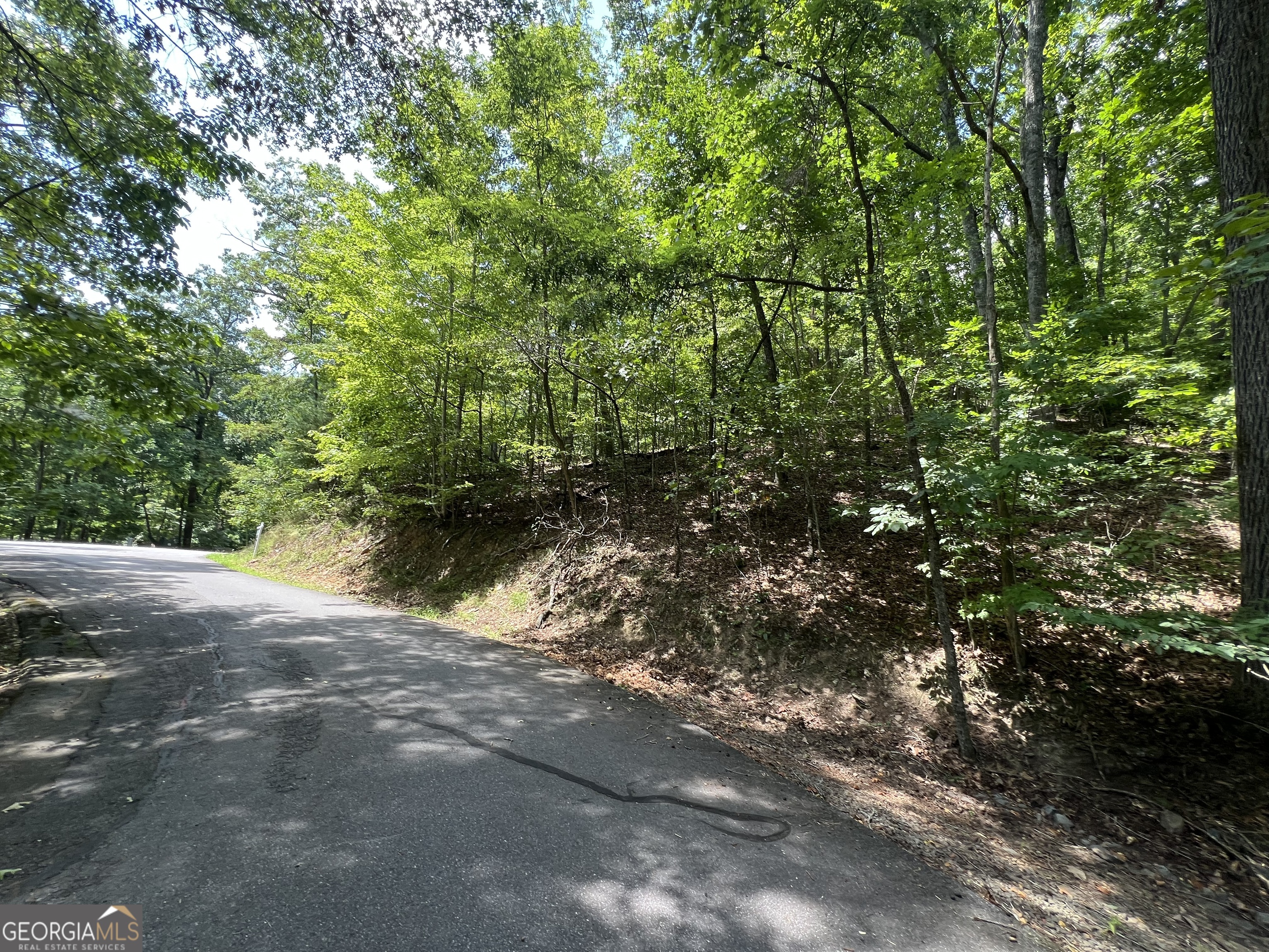 Lot 32 Mission Ridge Drive Hayesville, NC 28904 - Photo 6 of 11 a view of a street with a tree