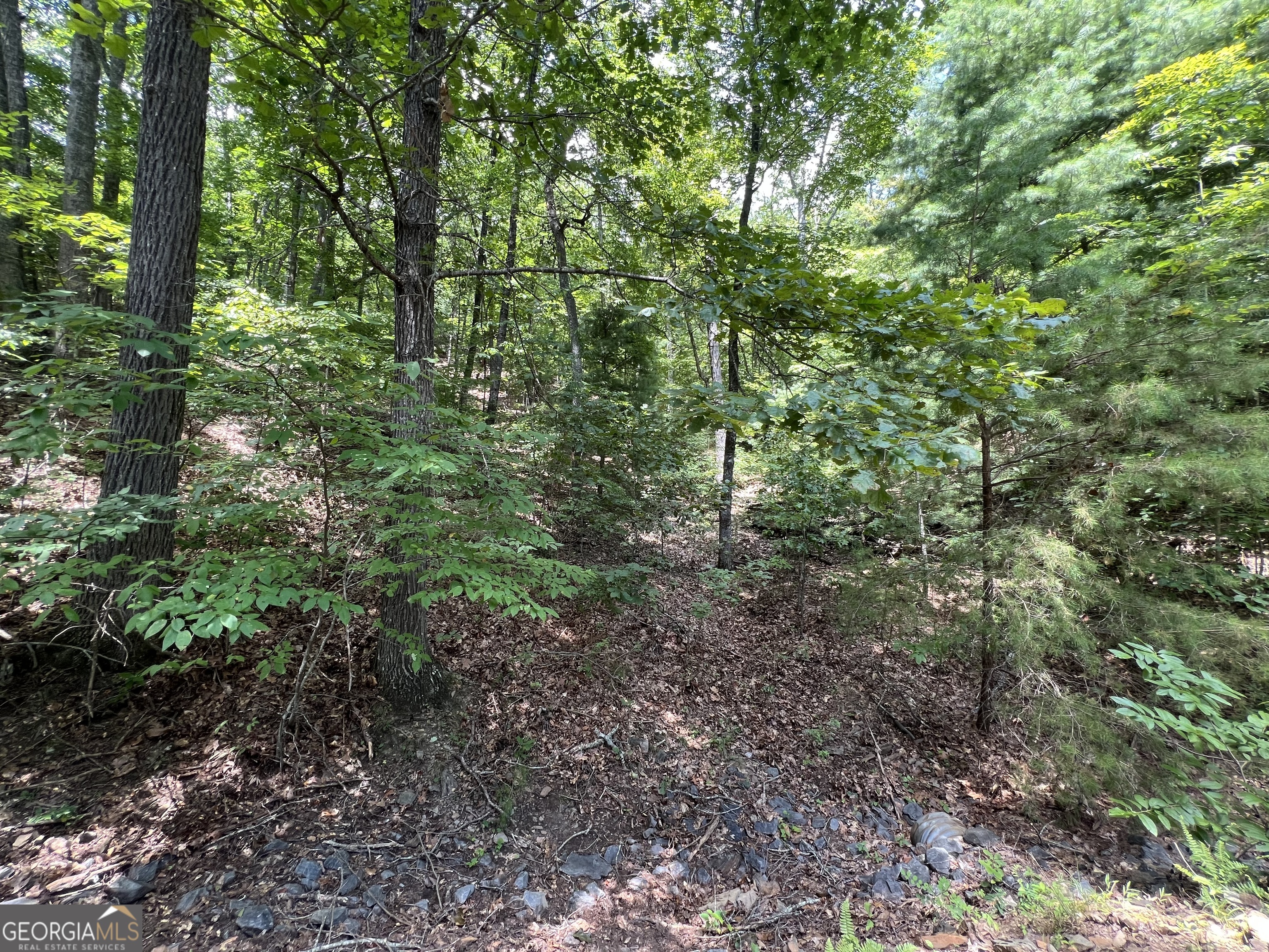 Lot 32 Mission Ridge Drive Hayesville, NC 28904 - Photo 7 of 11 a view of a forest that has a tree