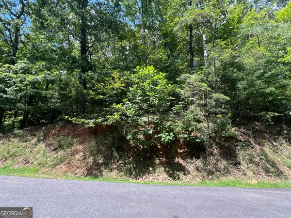 $49,000 | Lot 32 Mission Ridge Drive, Hayesville, NC 28904