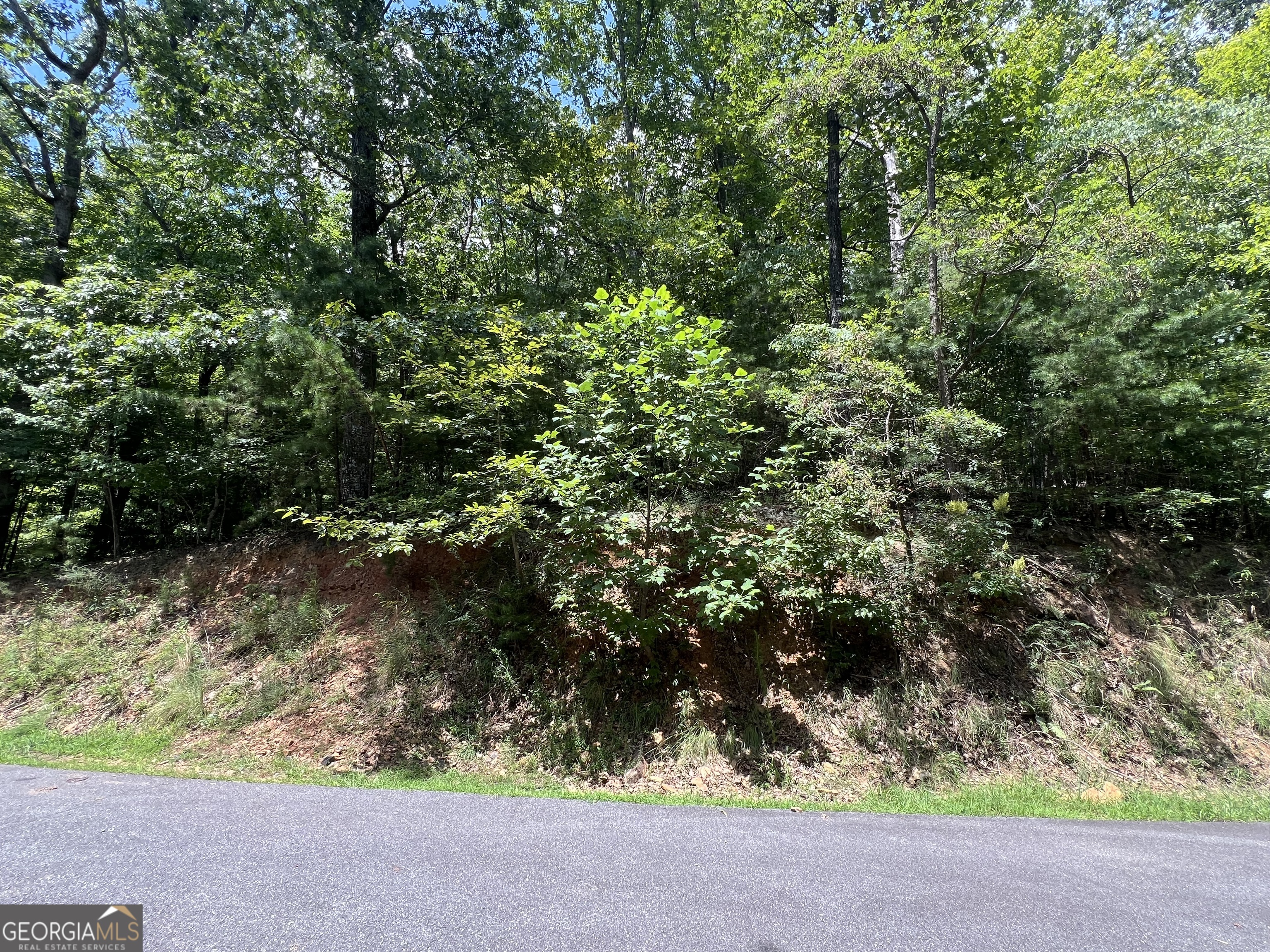 Lot 32 Mission Ridge Drive Hayesville, NC 28904 - Photo 9 of 11 a view of a yard