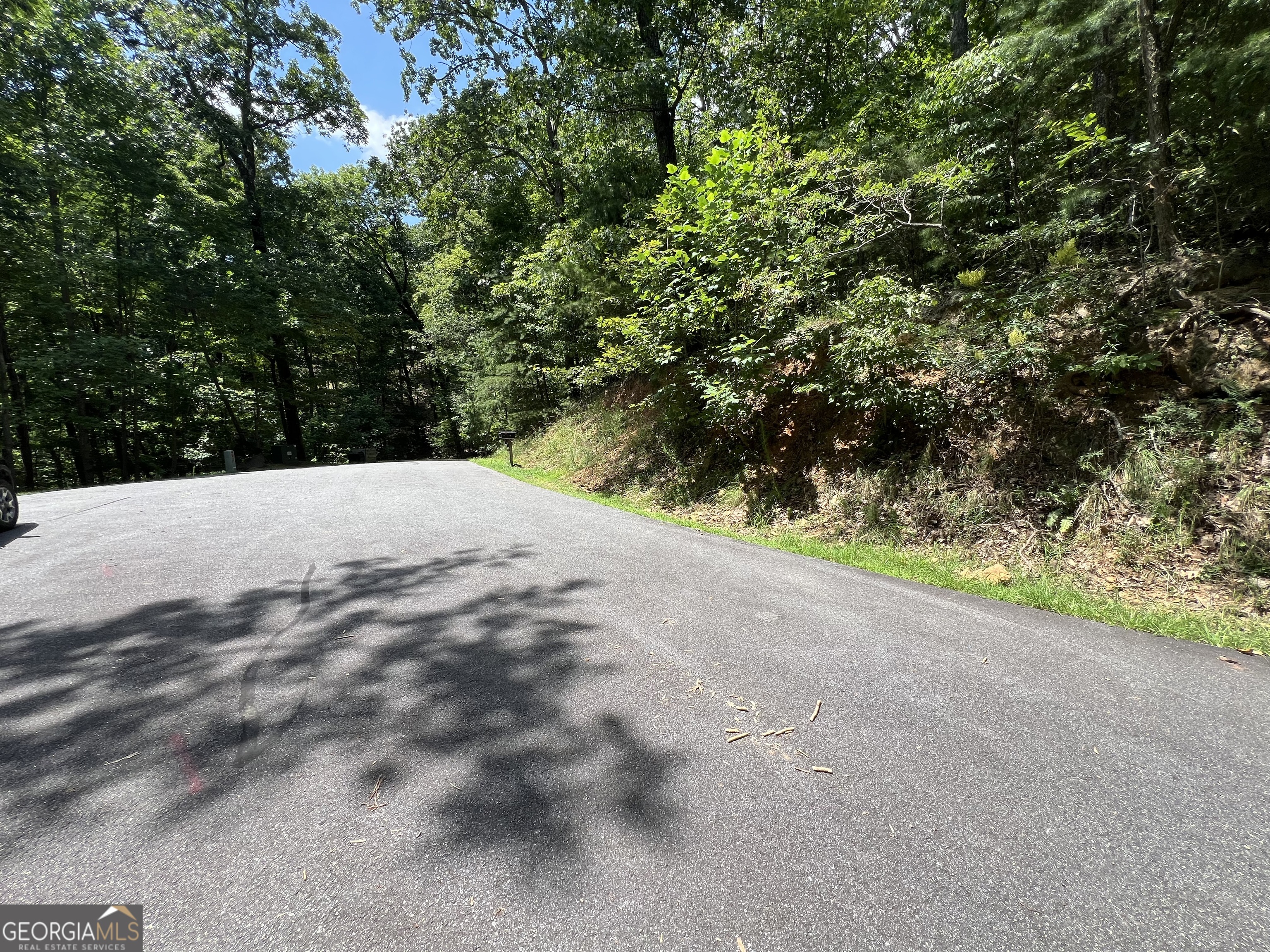 Lot 32 Mission Ridge Drive Hayesville, NC 28904 - Photo 10 of 11 a view of outdoor space and yard