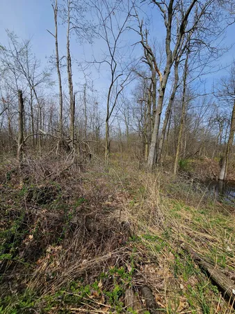 $199,900 | 8475 Ross Road, Muir, MI 48860