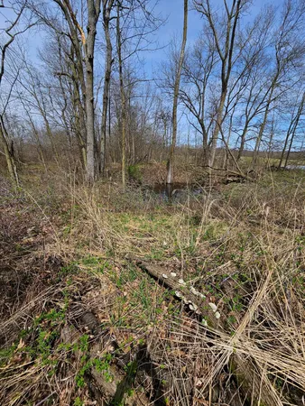 $199,900 | 8475 Ross Road, Muir, MI 48860