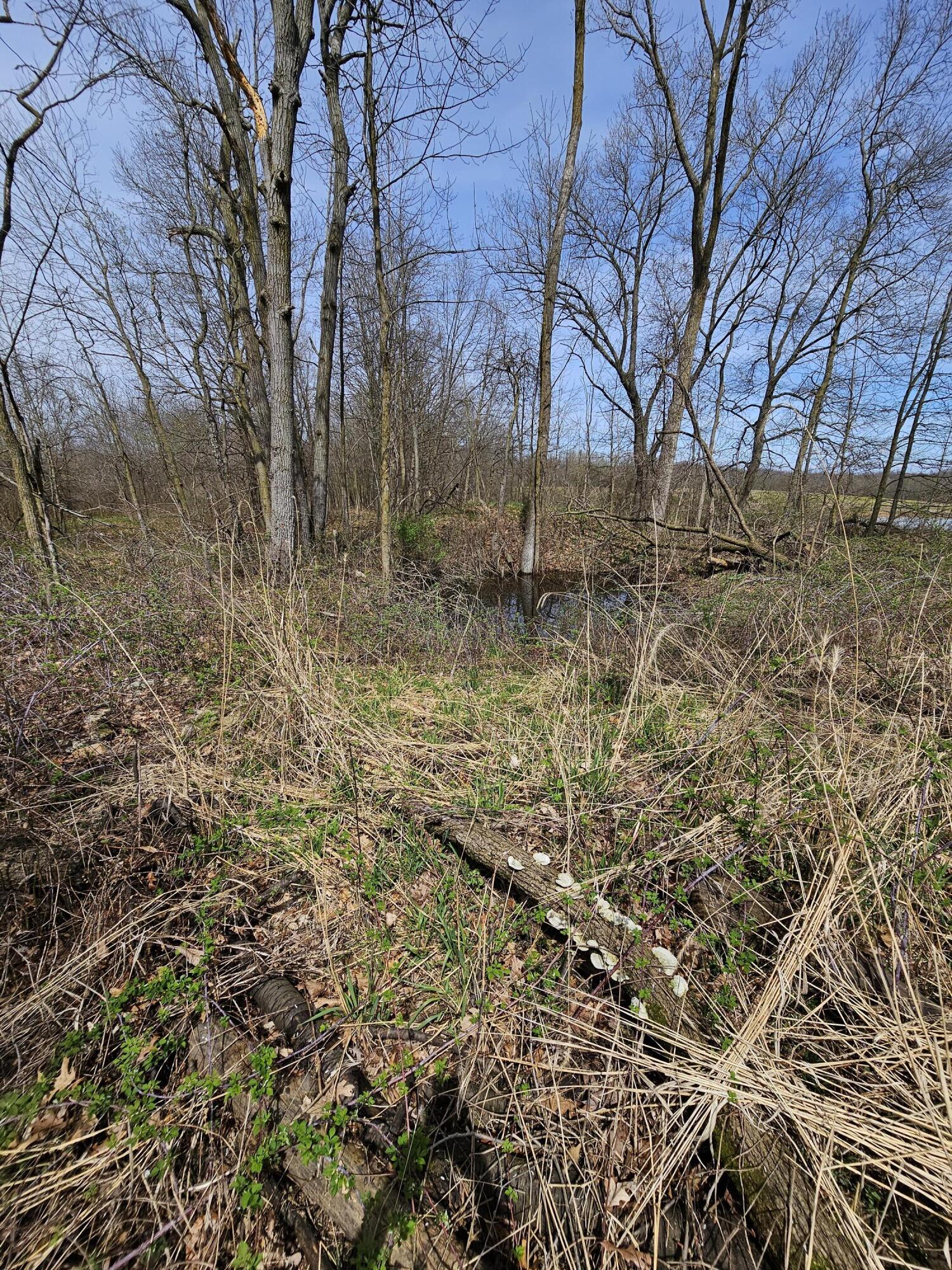 8475 Ross Road Muir, MI 48860 - Photo 13 of 27 Ross Rd