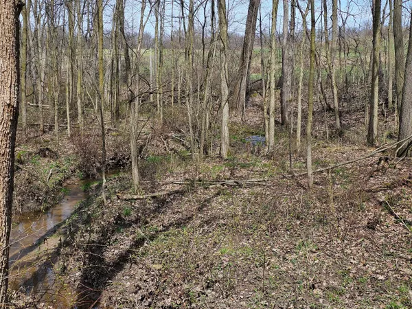 $199,900 | 8475 Ross Road, Muir, MI 48860