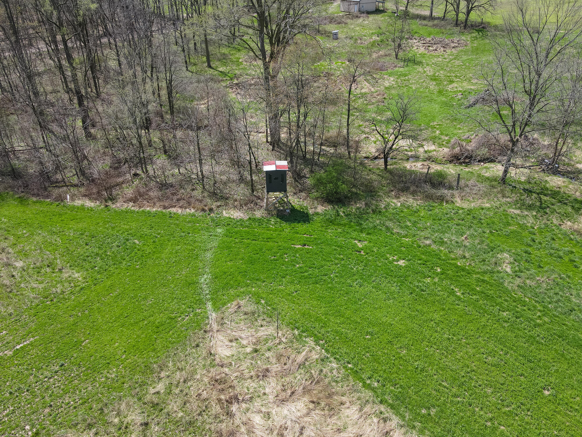 8475 Ross Road Muir, MI 48860 - Photo 16 of 27 Ross Rd