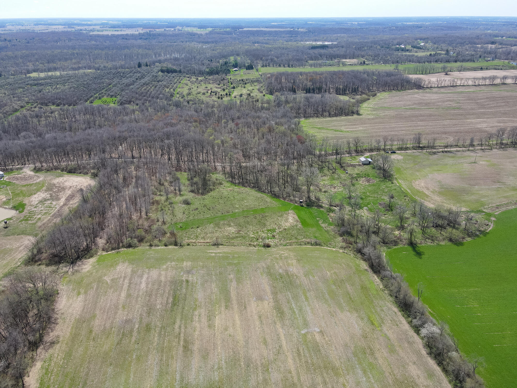 8475 Ross Road Muir, MI 48860 - Photo 27 of 27 Ross Rd