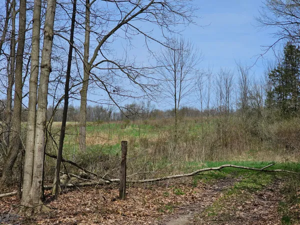 $199,900 | 8475 Ross Road, Muir, MI 48860
