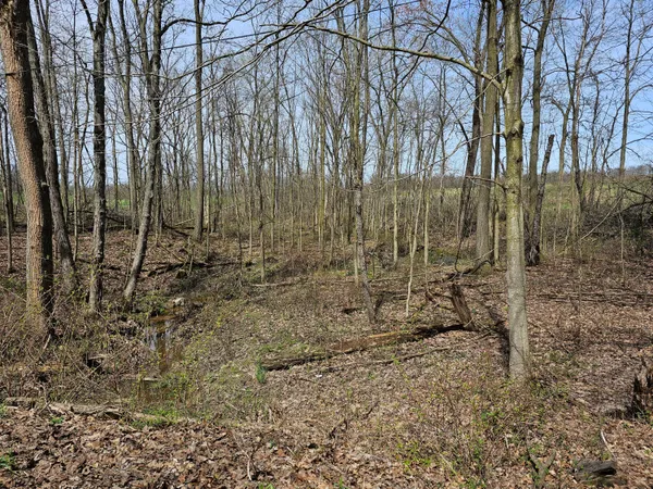 $199,900 | 8475 Ross Road, Muir, MI 48860