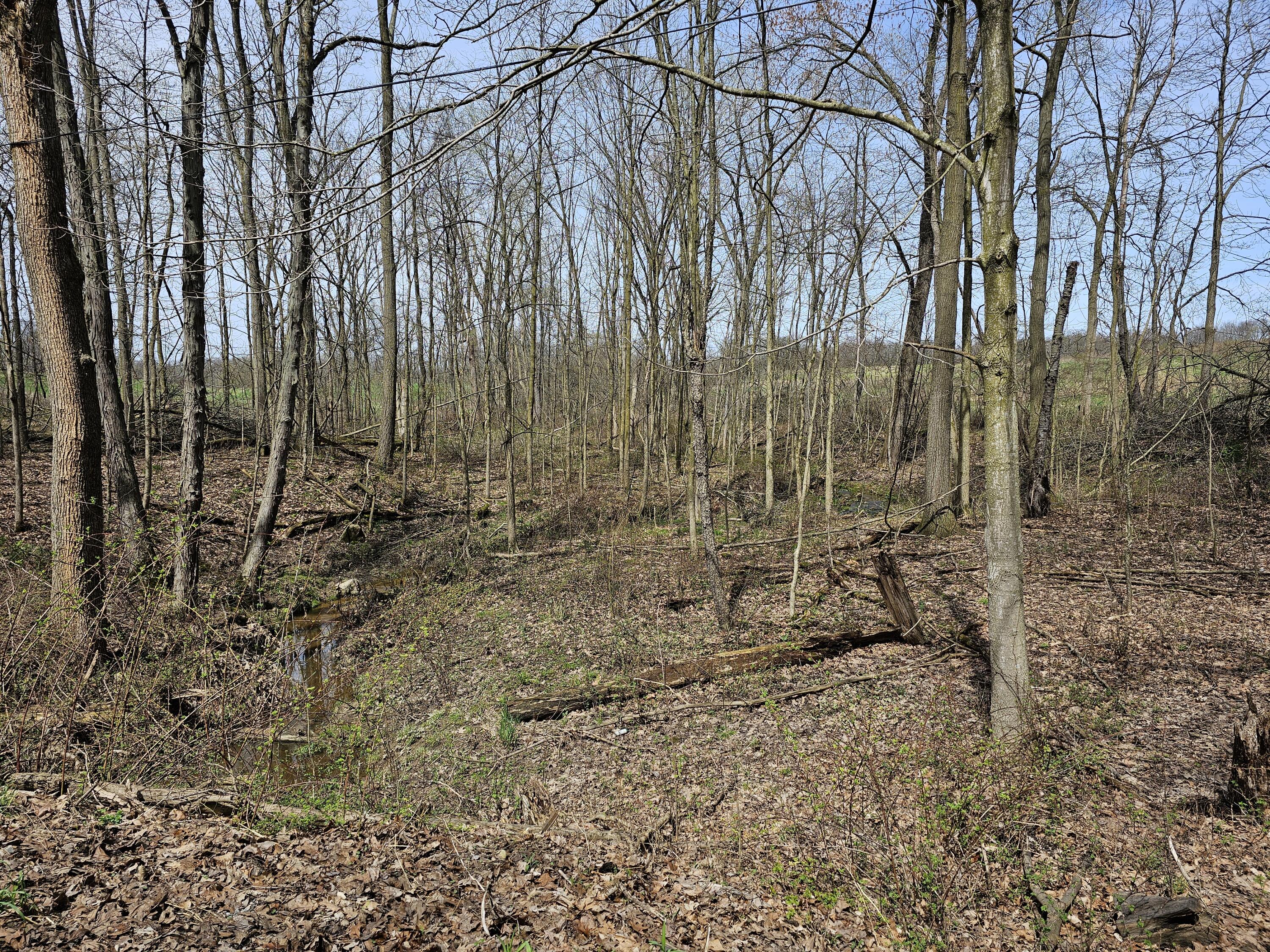 8475 Ross Road Muir, MI 48860 - Photo 4 of 27 Creek