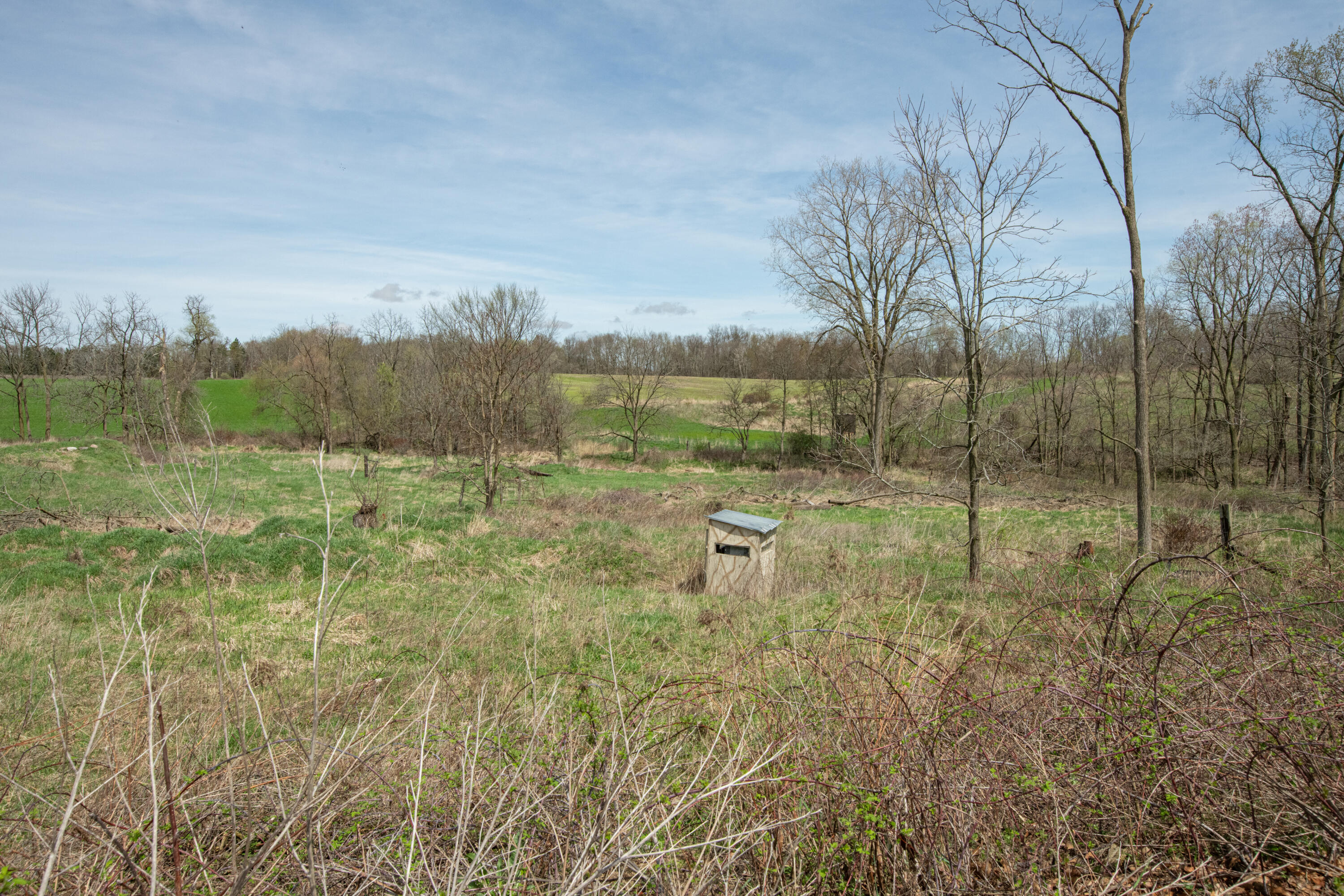 8475 Ross Road Muir, MI 48860 - Photo 5 of 27 Ross Rd