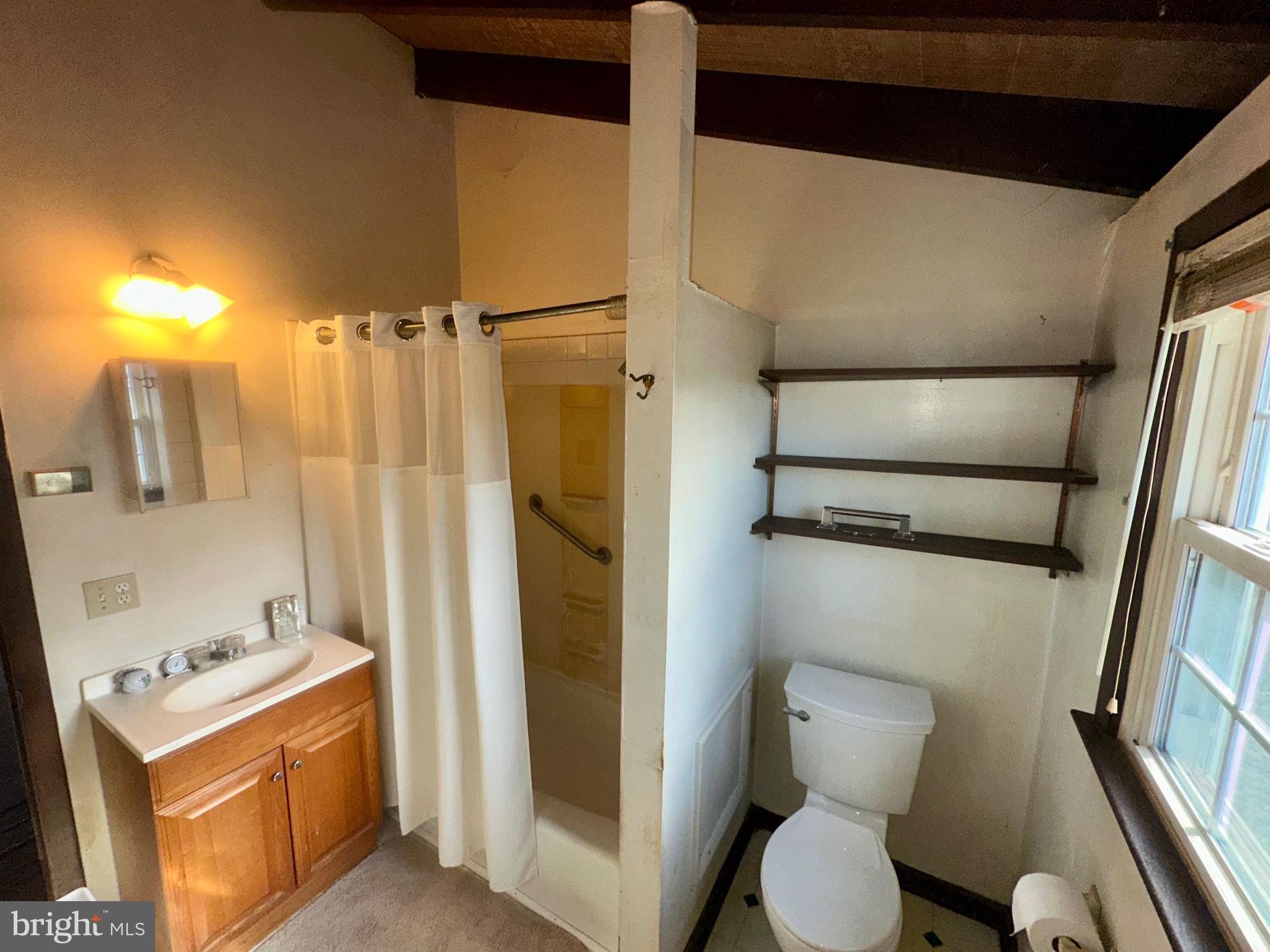 1336 Old Winchester Road Boyce, VA 22620 - Photo 20 of 76 a bathroom with a toilet sink and shower