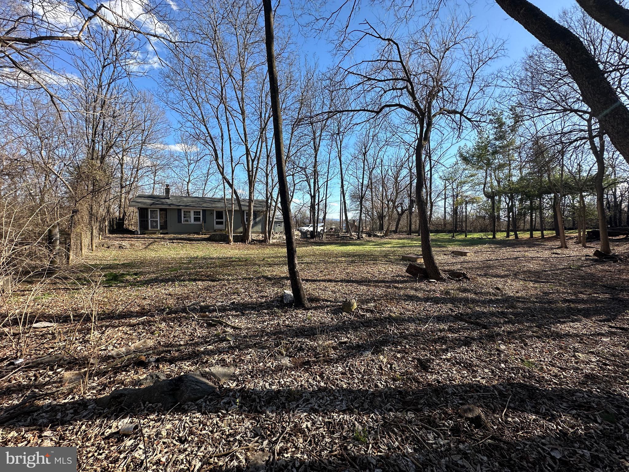 1336 Old Winchester Road Boyce, VA 22620 - Photo 37 of 76 a view of road with tree