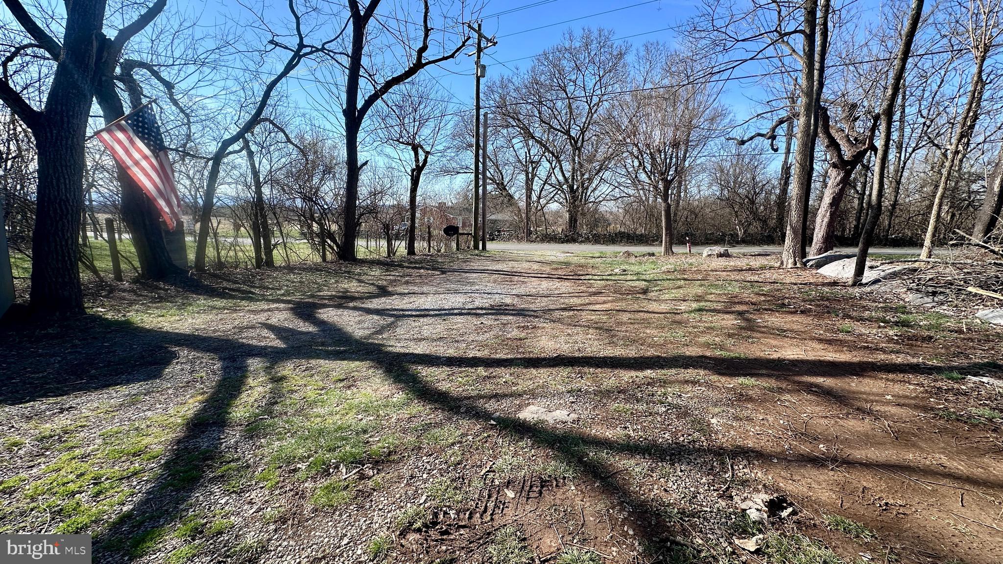 1336 Old Winchester Road Boyce, VA 22620 - Photo 64 of 76 a view of a yard with trees