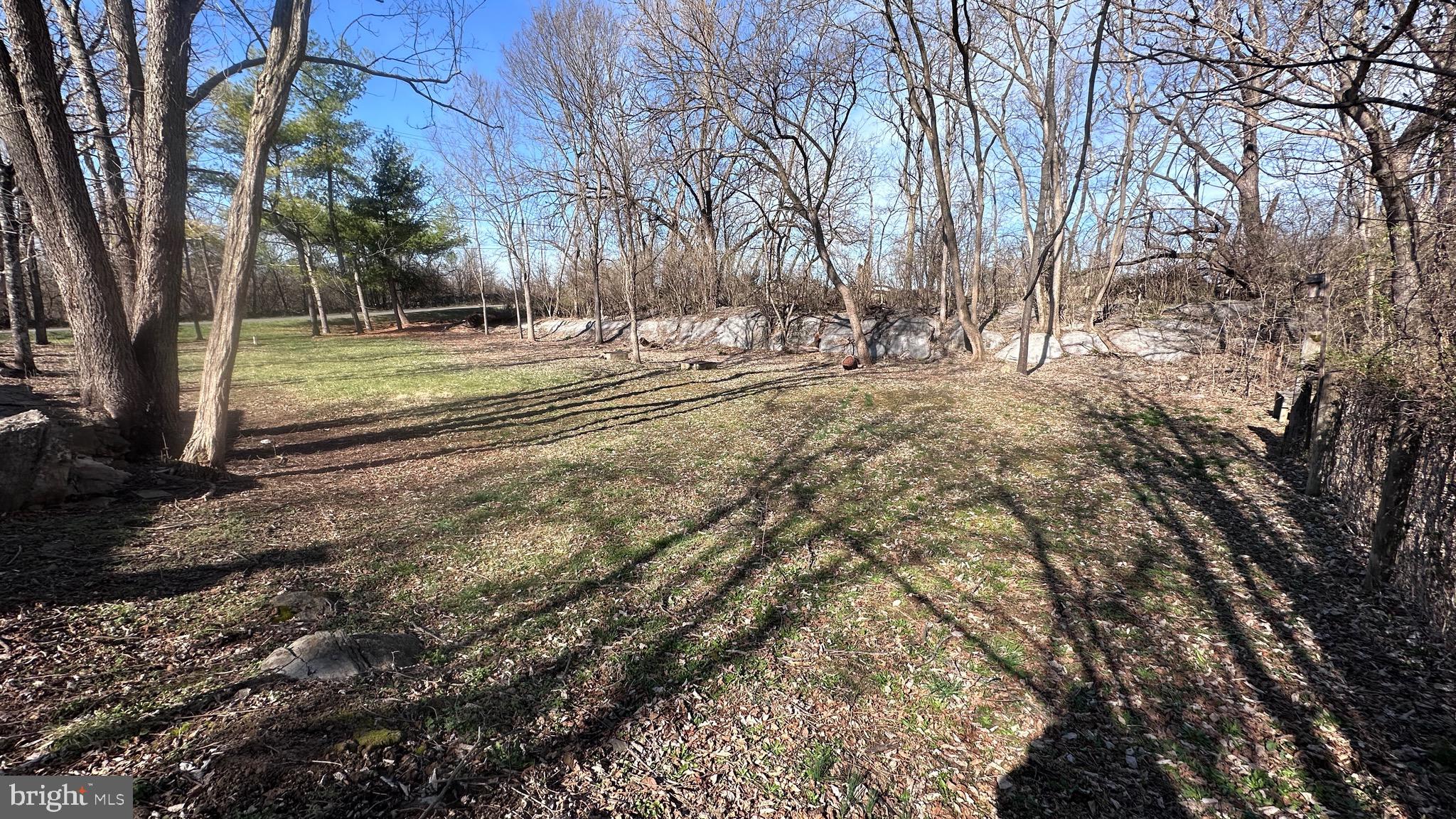 1336 Old Winchester Road Boyce, VA 22620 - Photo 65 of 76 a view of yard with green space
