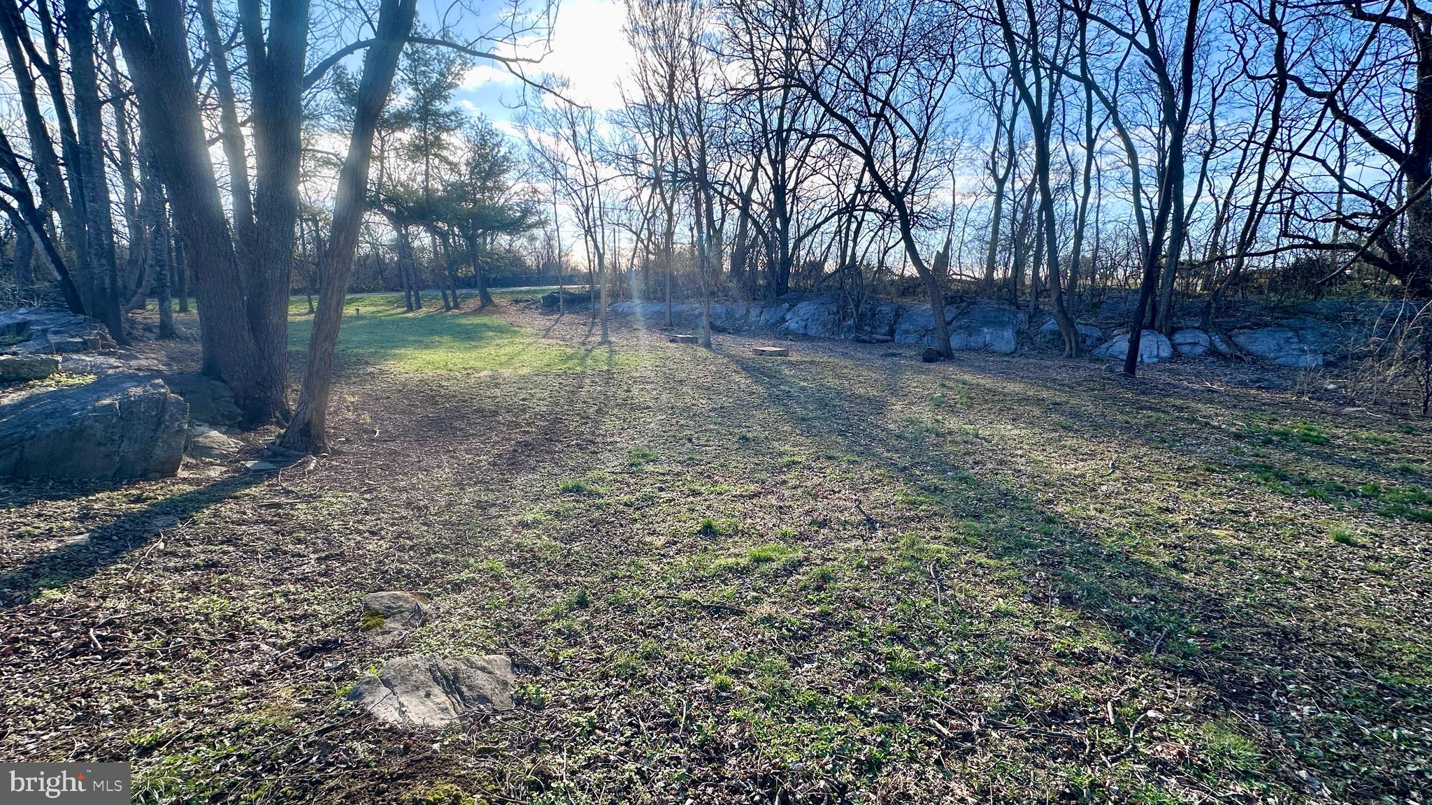 1336 Old Winchester Road Boyce, VA 22620 - Photo 70 of 76 Yard afternoon sun