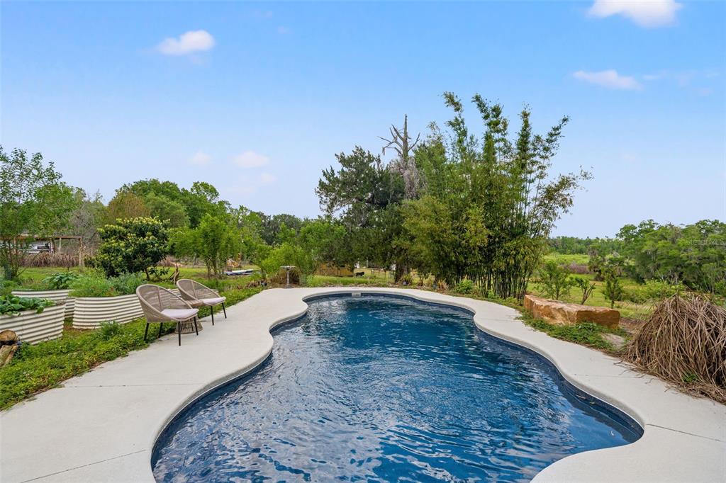 23125 Jacobson Road Brooksville, FL 34601 - Photo 45 of 69