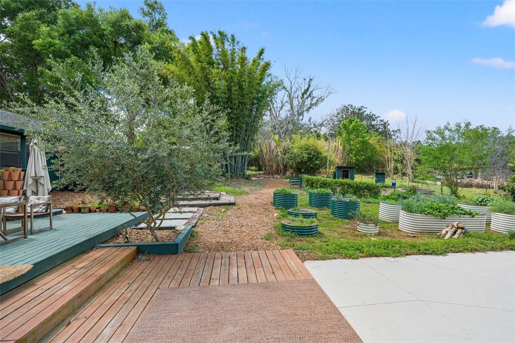 23125 Jacobson Road Brooksville, FL 34601 - Photo 47 of 69