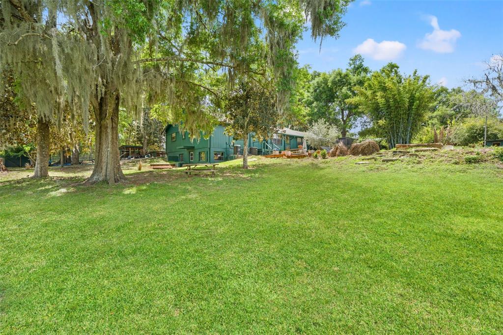 23125 Jacobson Road Brooksville, FL 34601 - Photo 48 of 69