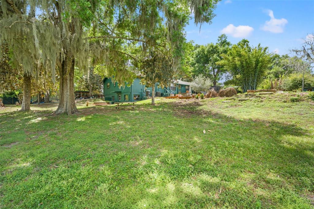 23125 Jacobson Road Brooksville, FL 34601 - Photo 49 of 69
