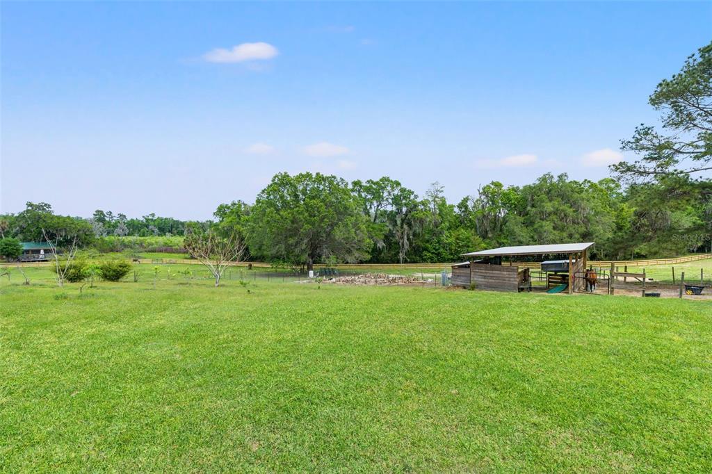 23125 Jacobson Road Brooksville, FL 34601 - Photo 50 of 69