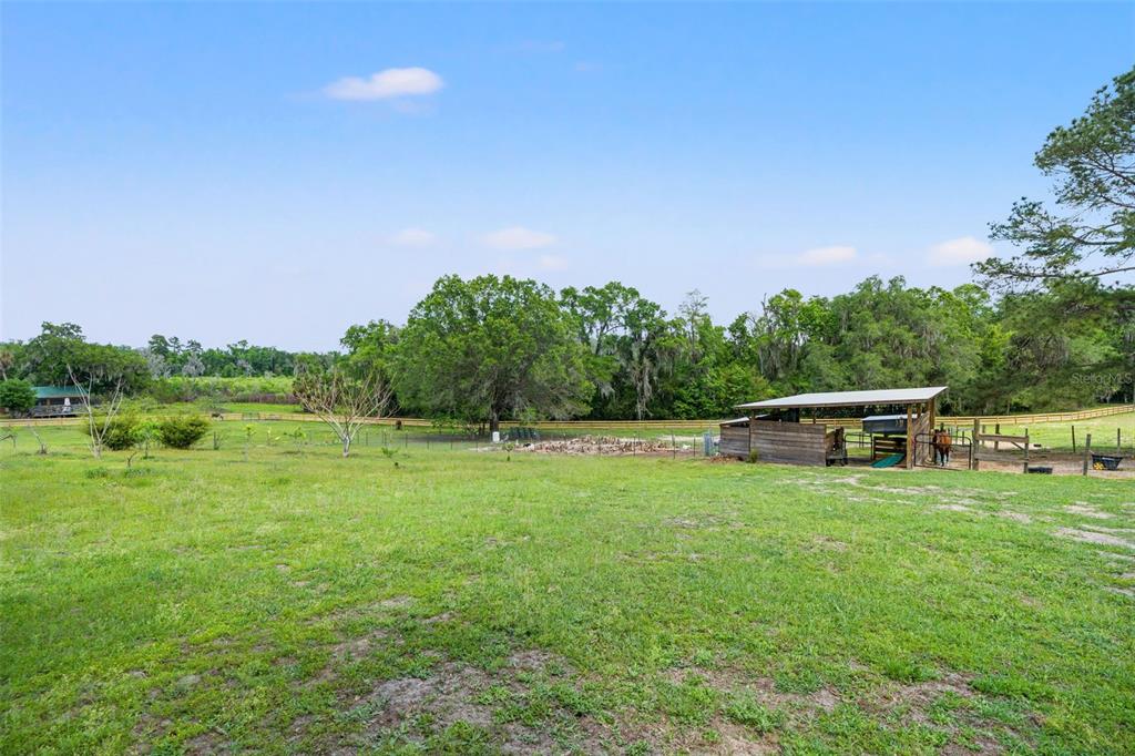 23125 Jacobson Road Brooksville, FL 34601 - Photo 51 of 69